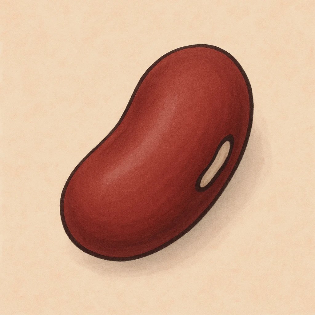 Picture of Red Bean note