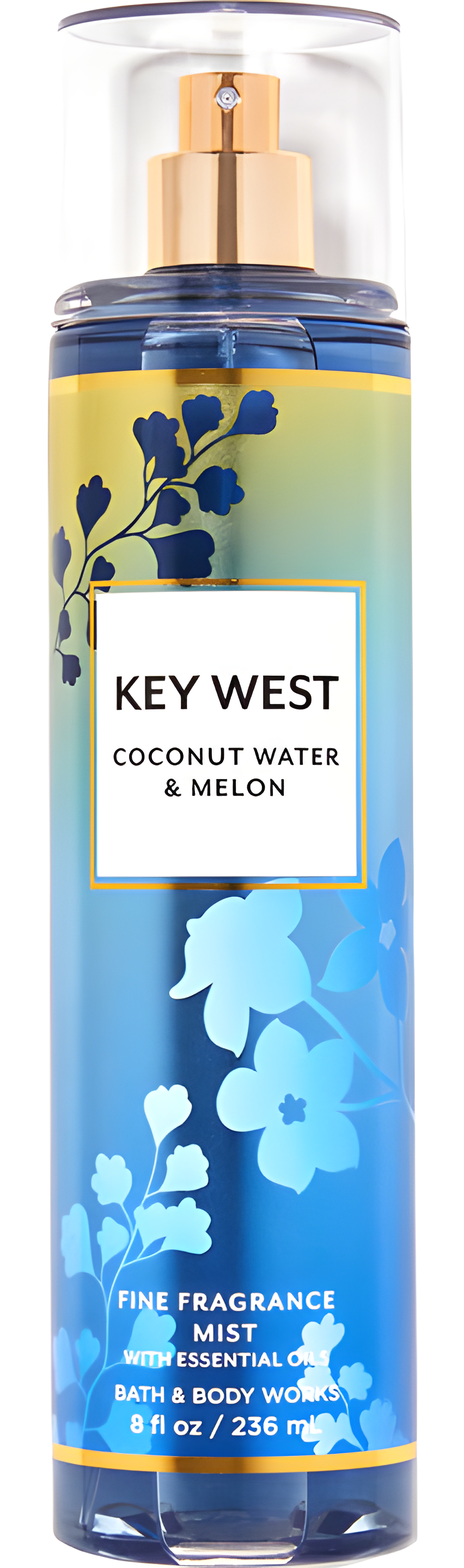 Key West Coconut Water & Melon by Bath & Body Works perfume bottle
