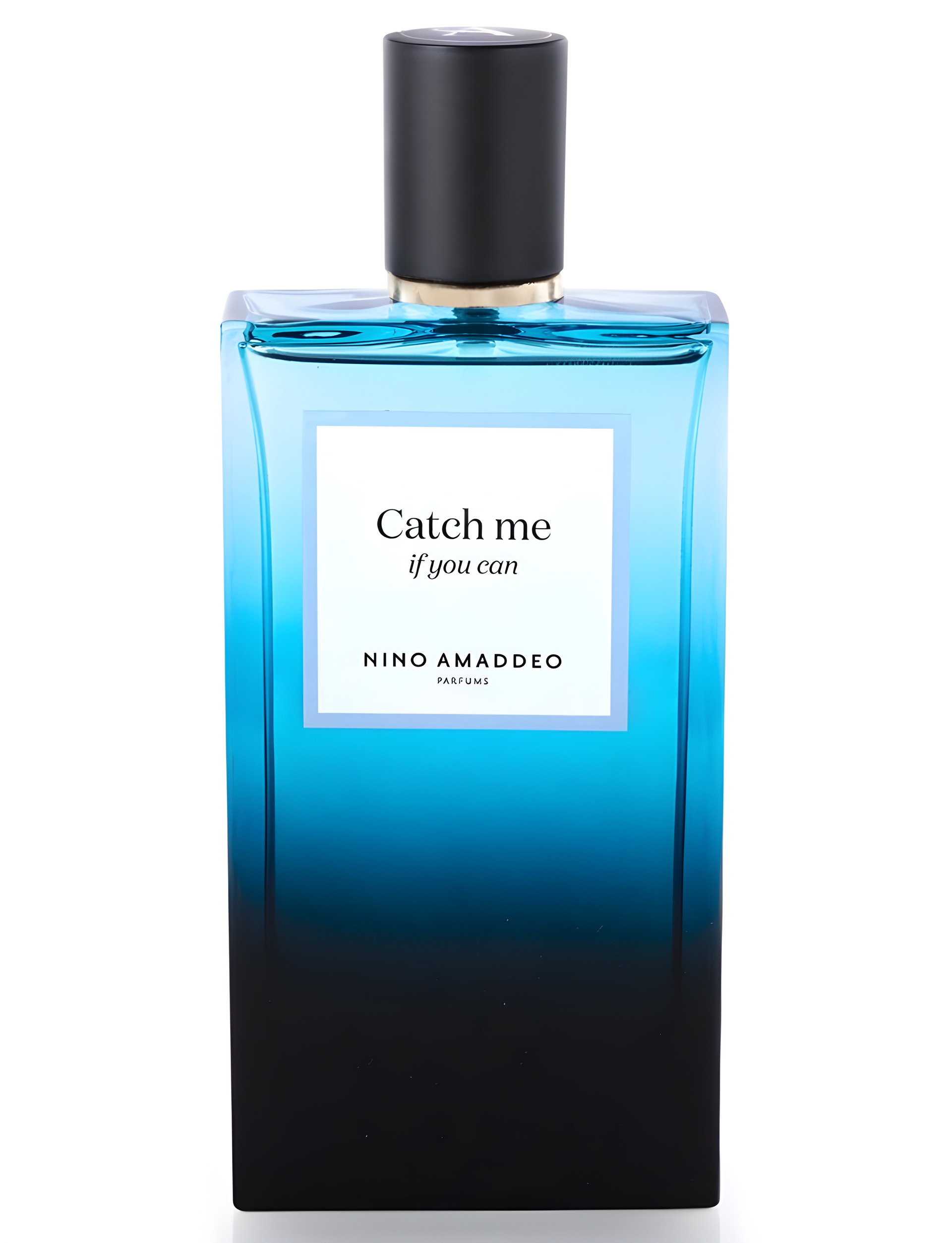 Catch Me if You Can by Nino Amaddeo perfume bottle