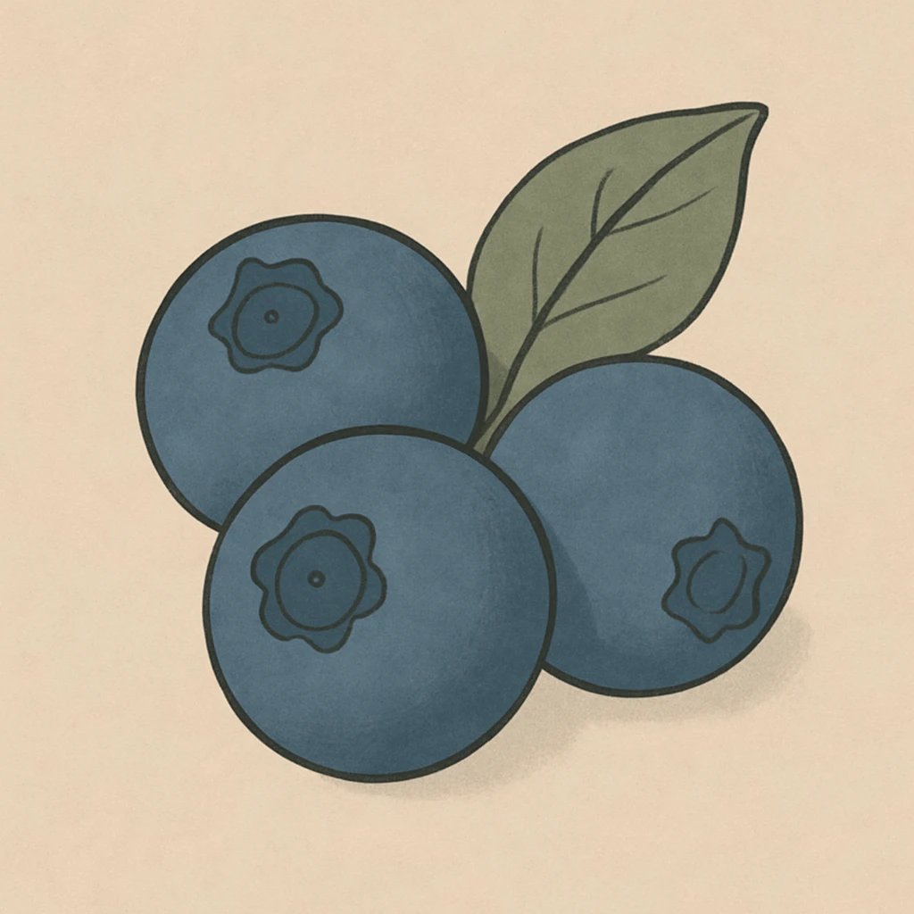 Picture of Blueberry note