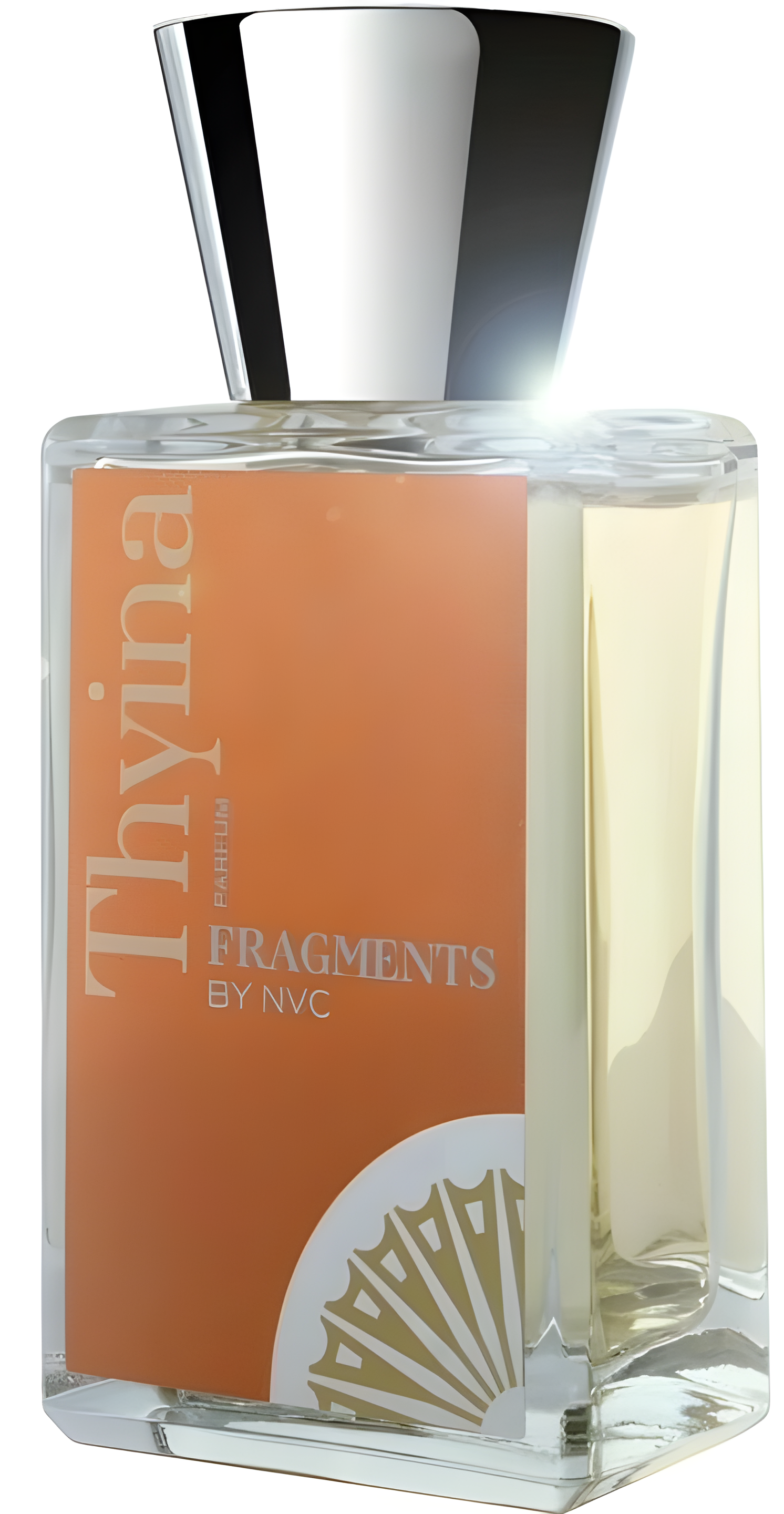 Thyina by Fragments by NVC perfume bottle
