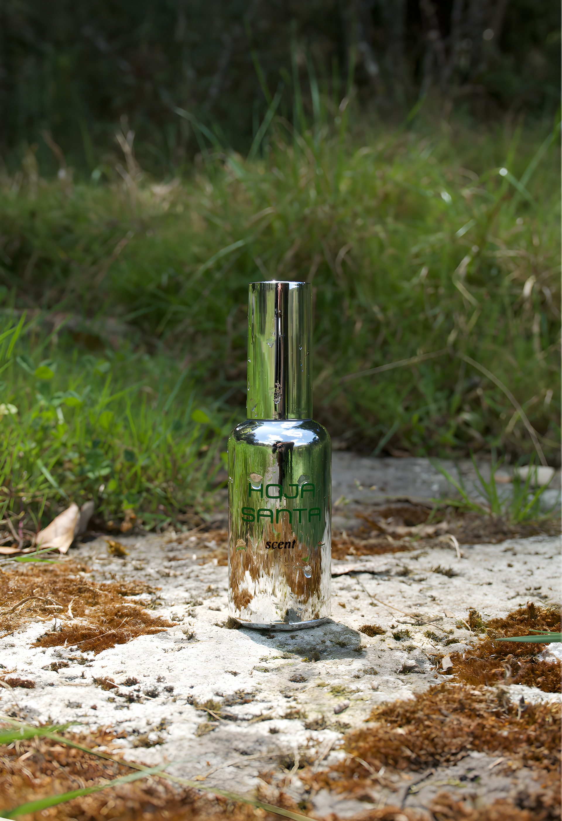 Hoja Santa by Scent perfume bottle