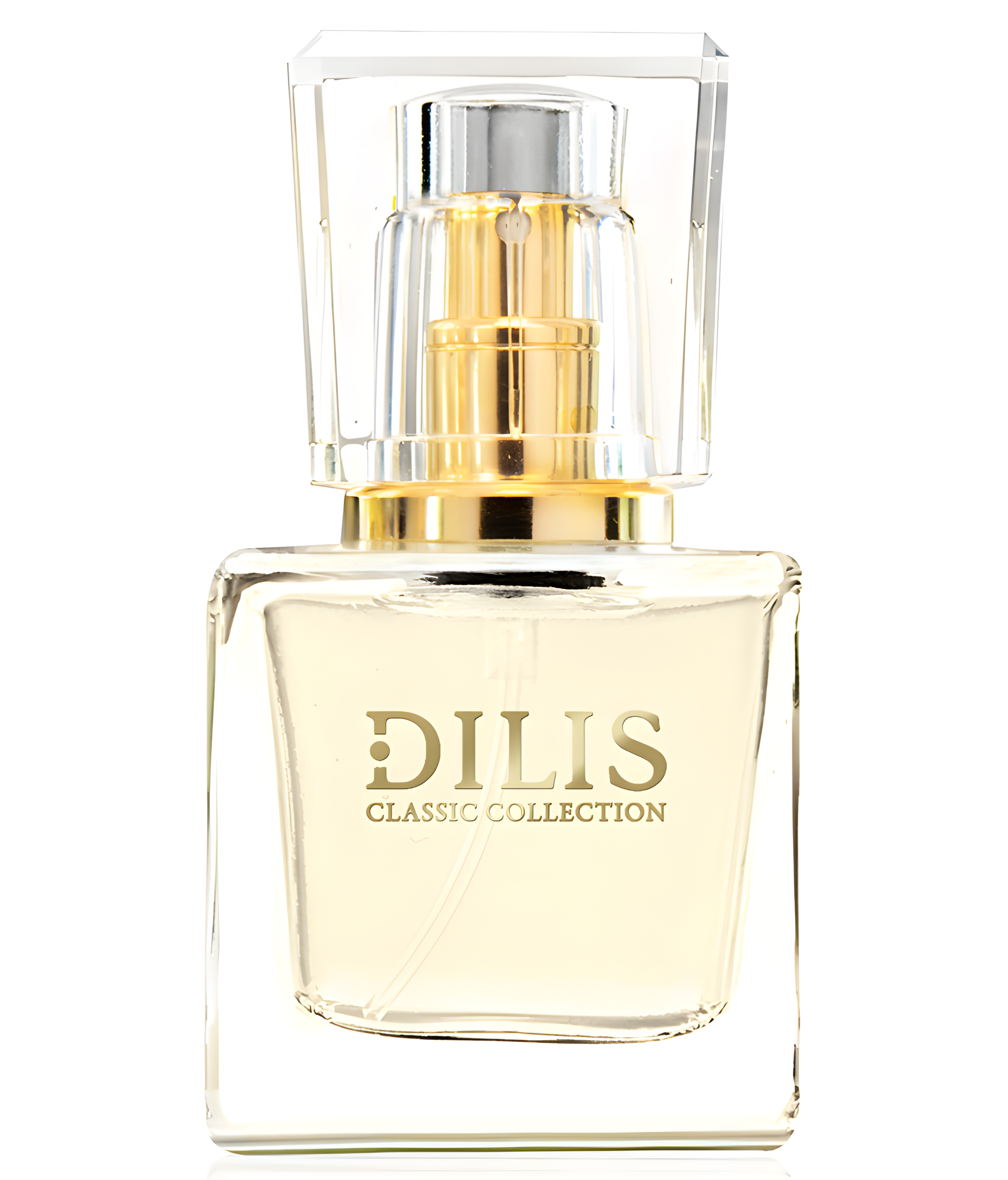 Dilis Classic Collection No. 13 by Dilís Parfum perfume bottle