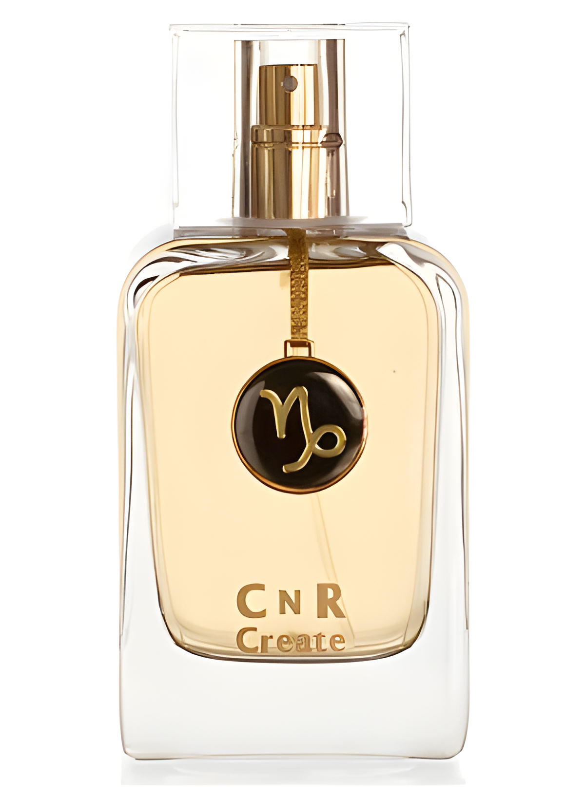Capricorn for Men by CnR Create perfume bottle