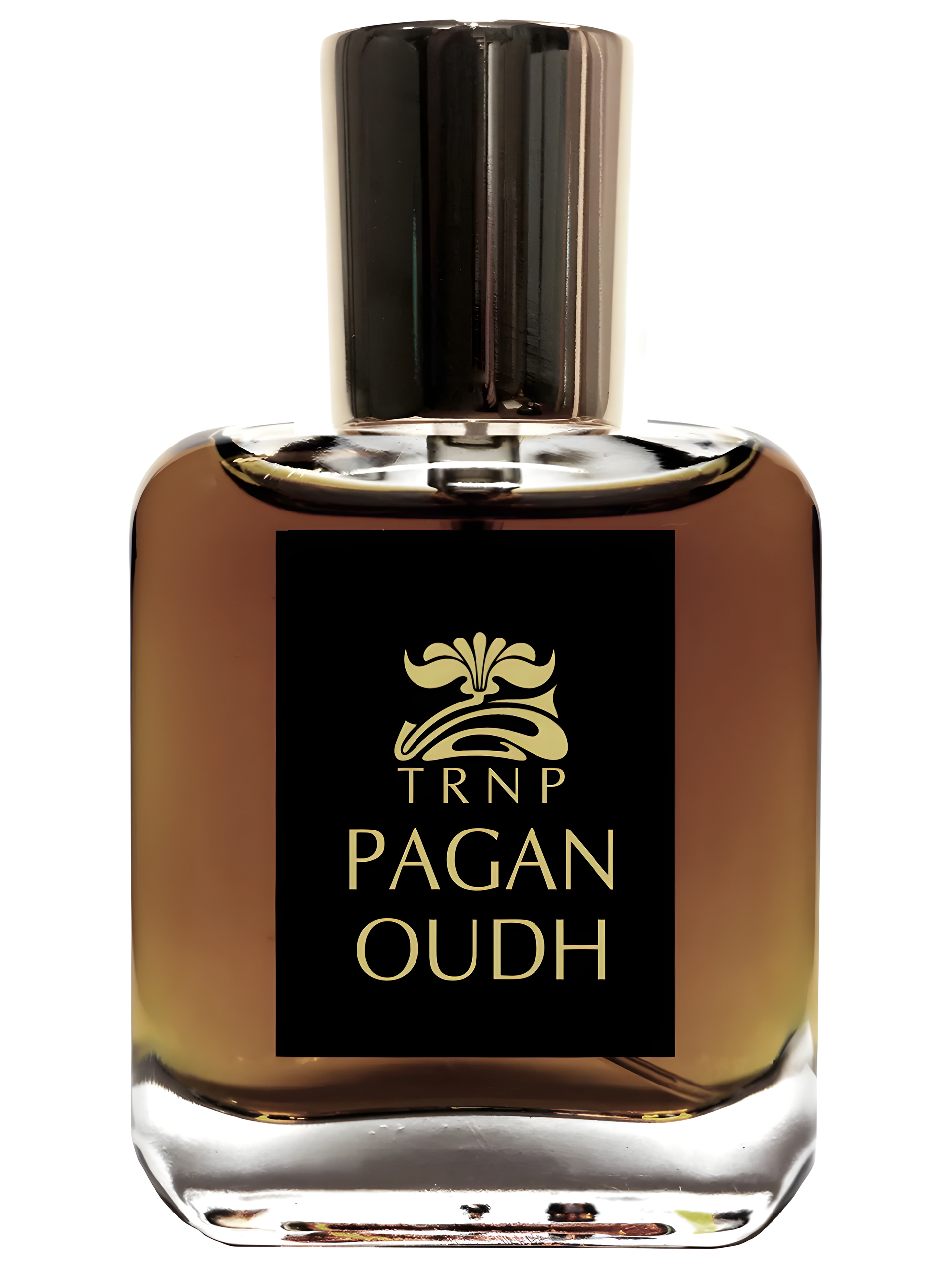 Pagan Oudh by TRNP perfume bottle