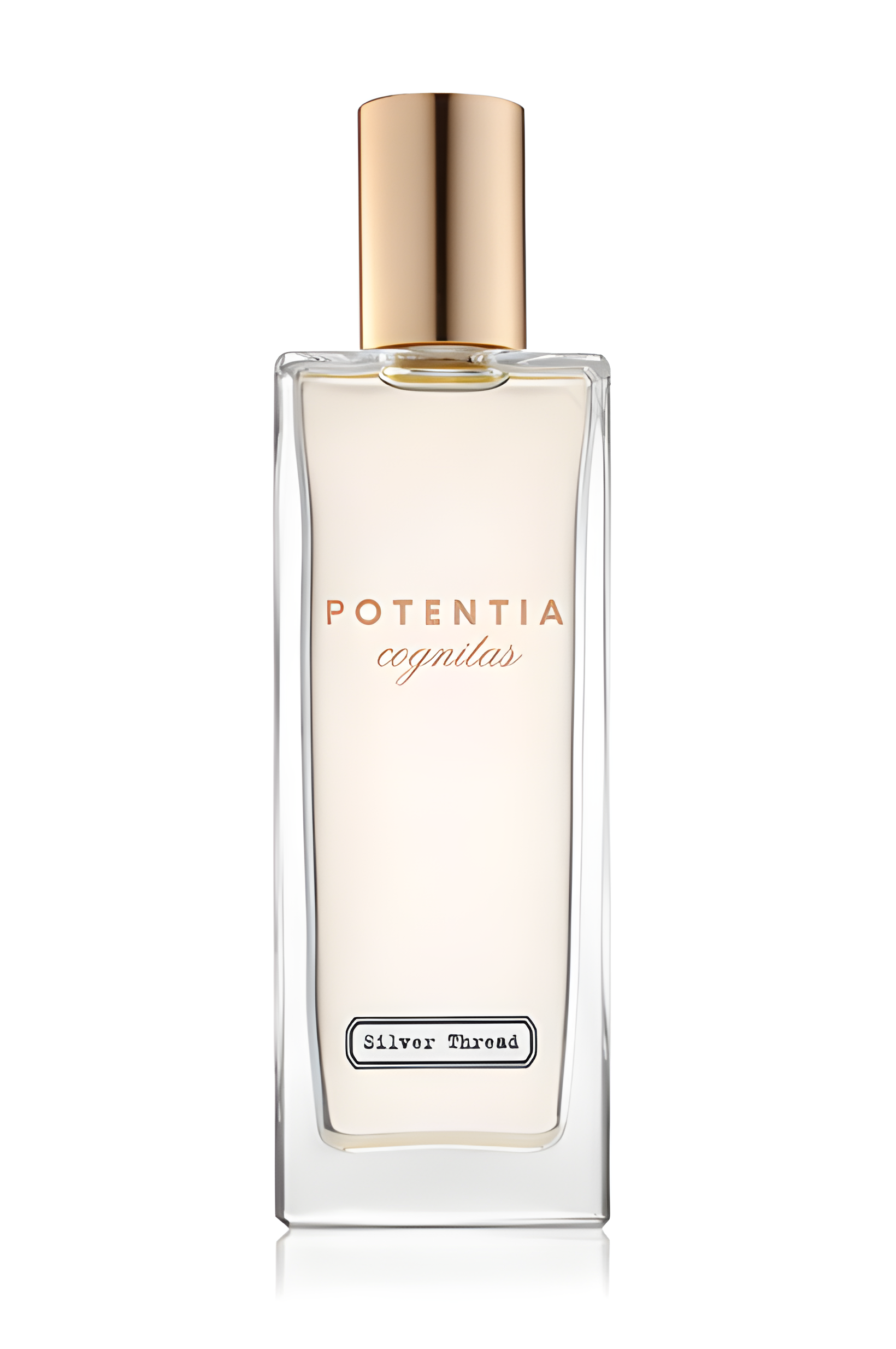 Silver Thread by The House Of Potentia perfume bottle