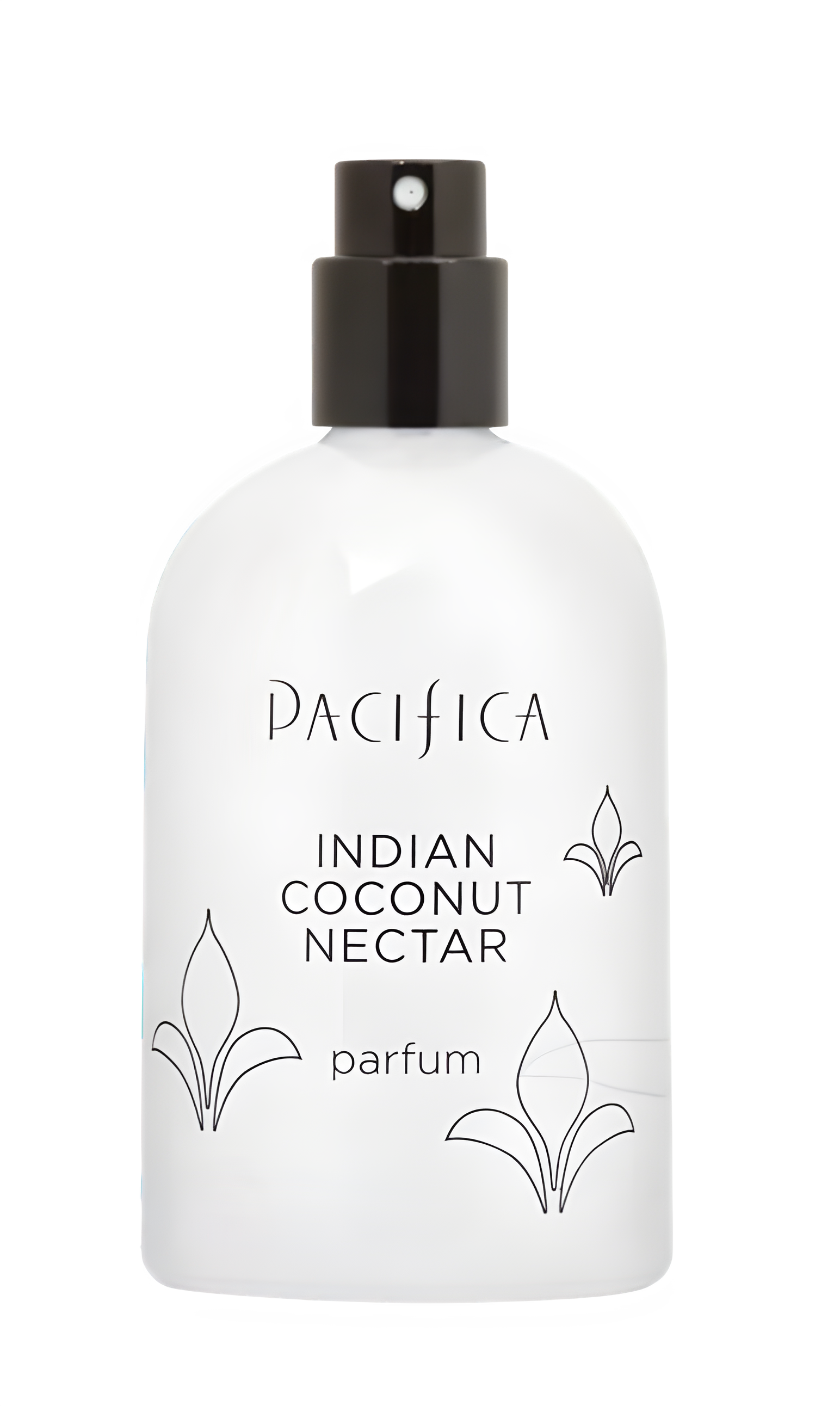 Indian Coconut Nectar by Pacifica perfume bottle