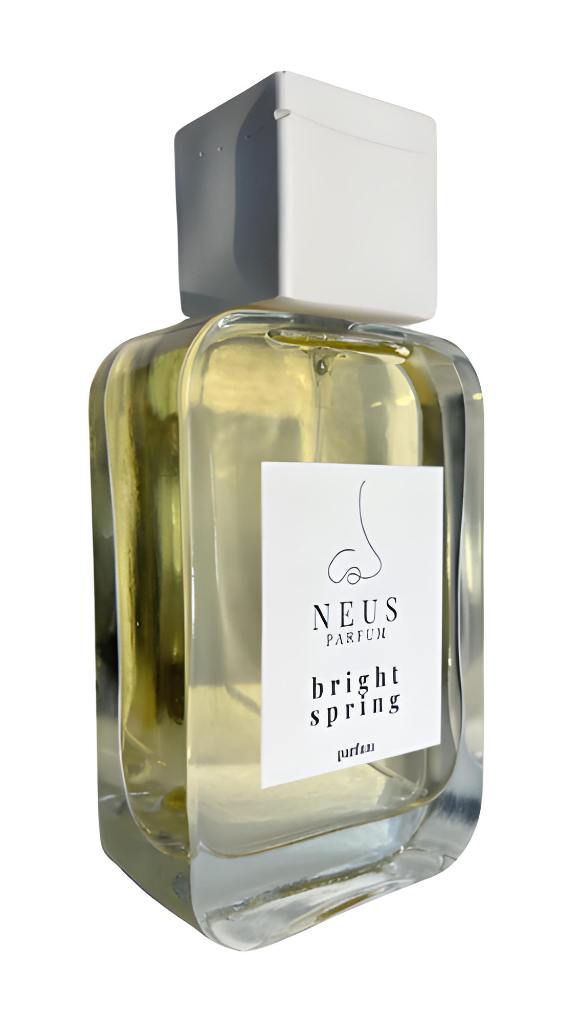 Bright Spring by Neus Parfum perfume bottle