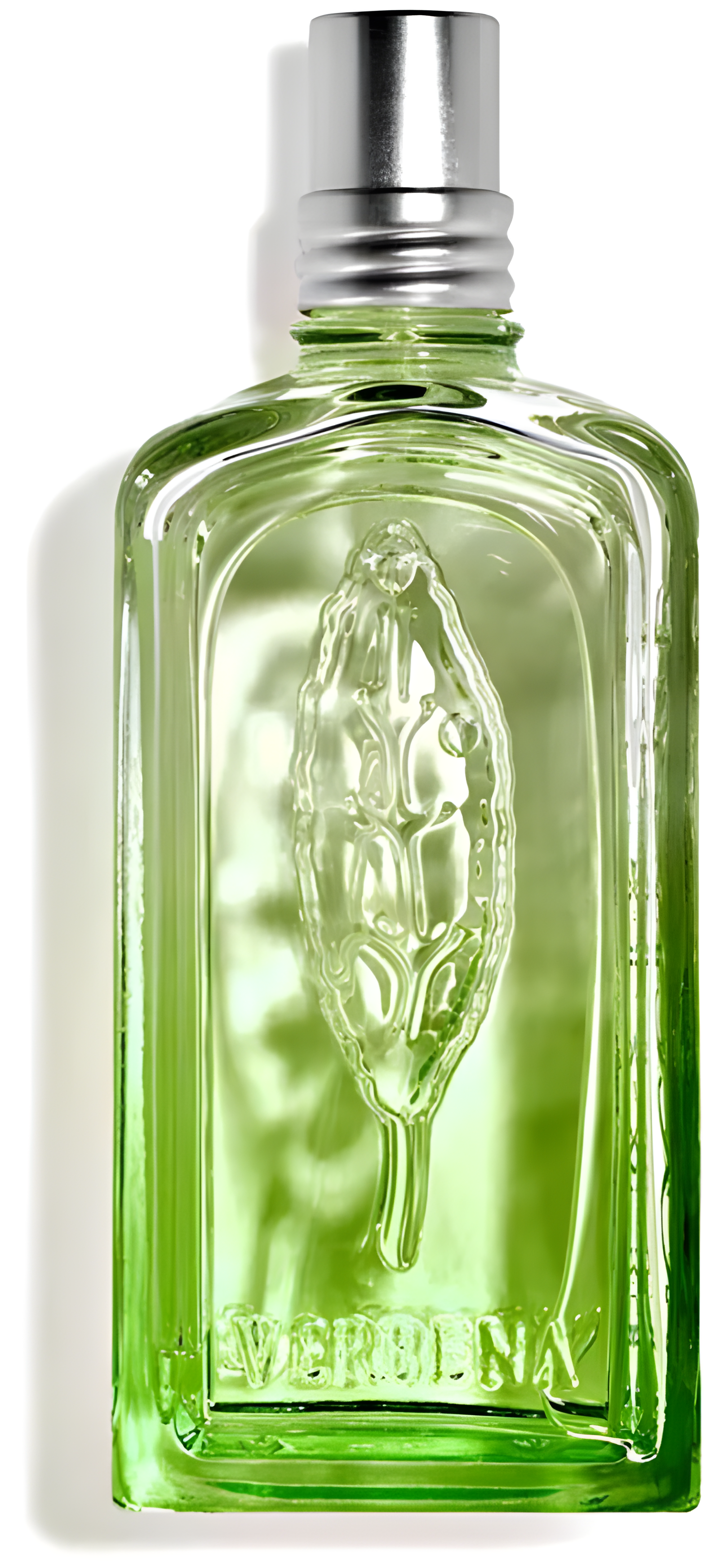 Verveine Cactus by L'Occitane en Provence perfume bottle