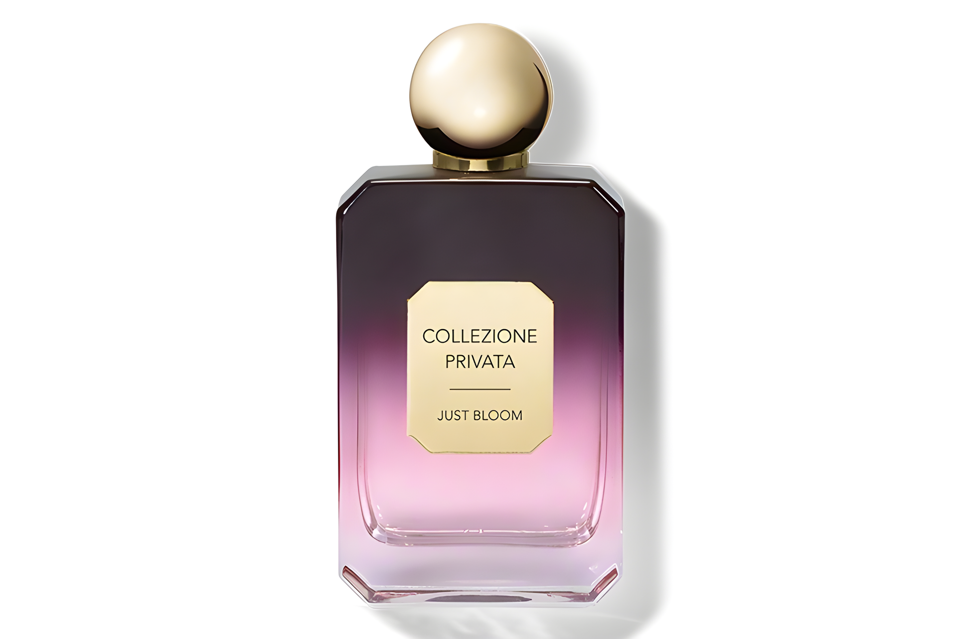 Just Bloom by Valmont perfume bottle