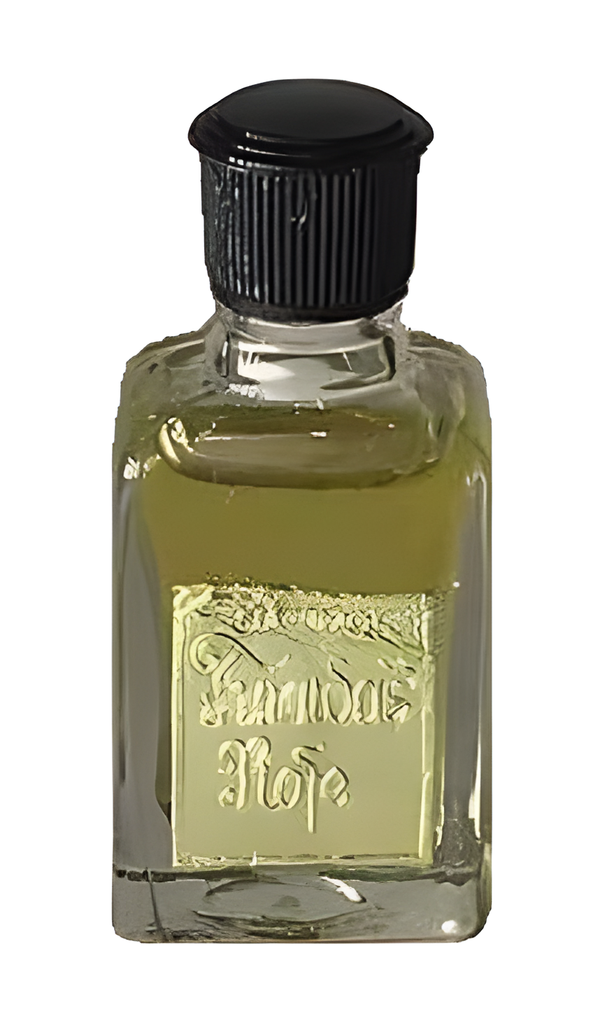 Turaidas Roze (Турайдская Роза) by Dzintars perfume bottle