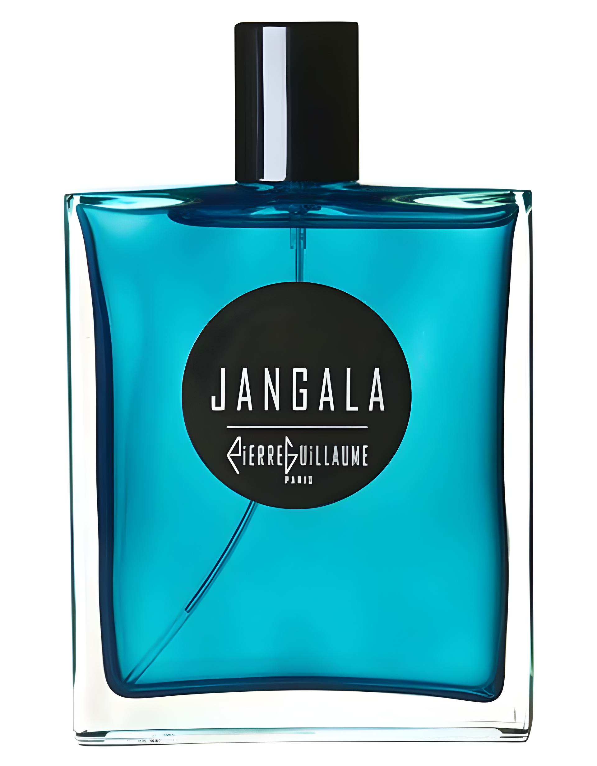 Pierre Guillaume Paris Jangala