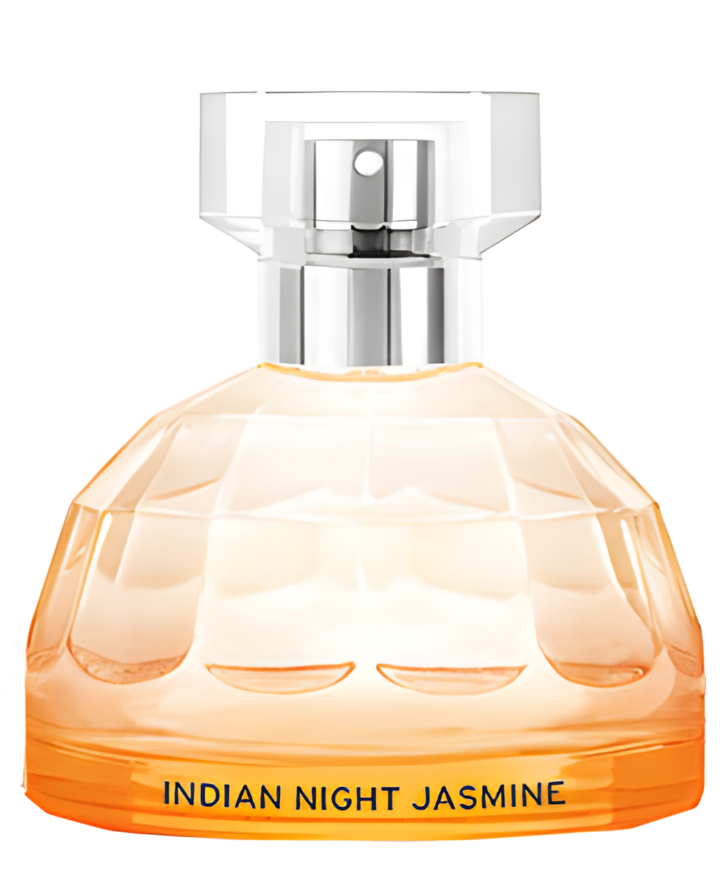 Indian Night Jasmine by The Body Shop perfume bottle