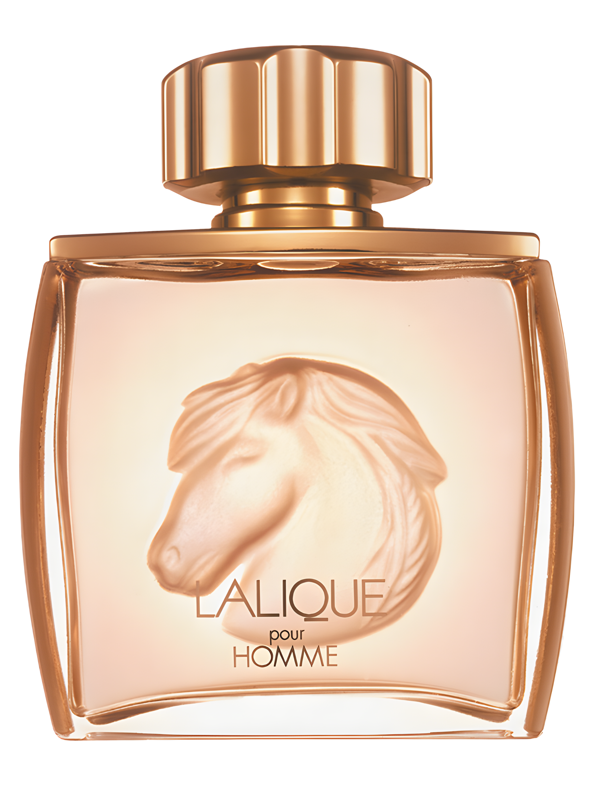Lalique Pour Homme Equus by Lalique perfume bottle