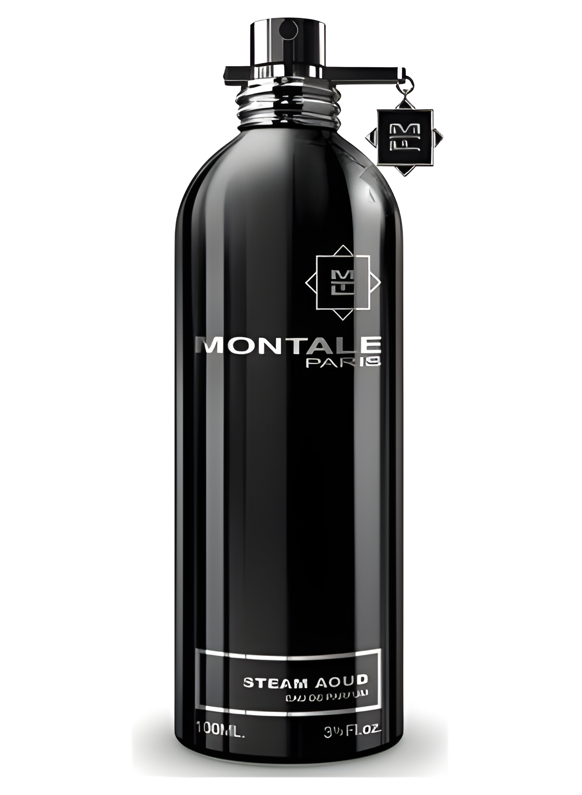 Steam Aoud (Aoud Hoggar Mota) by Montale perfume bottle