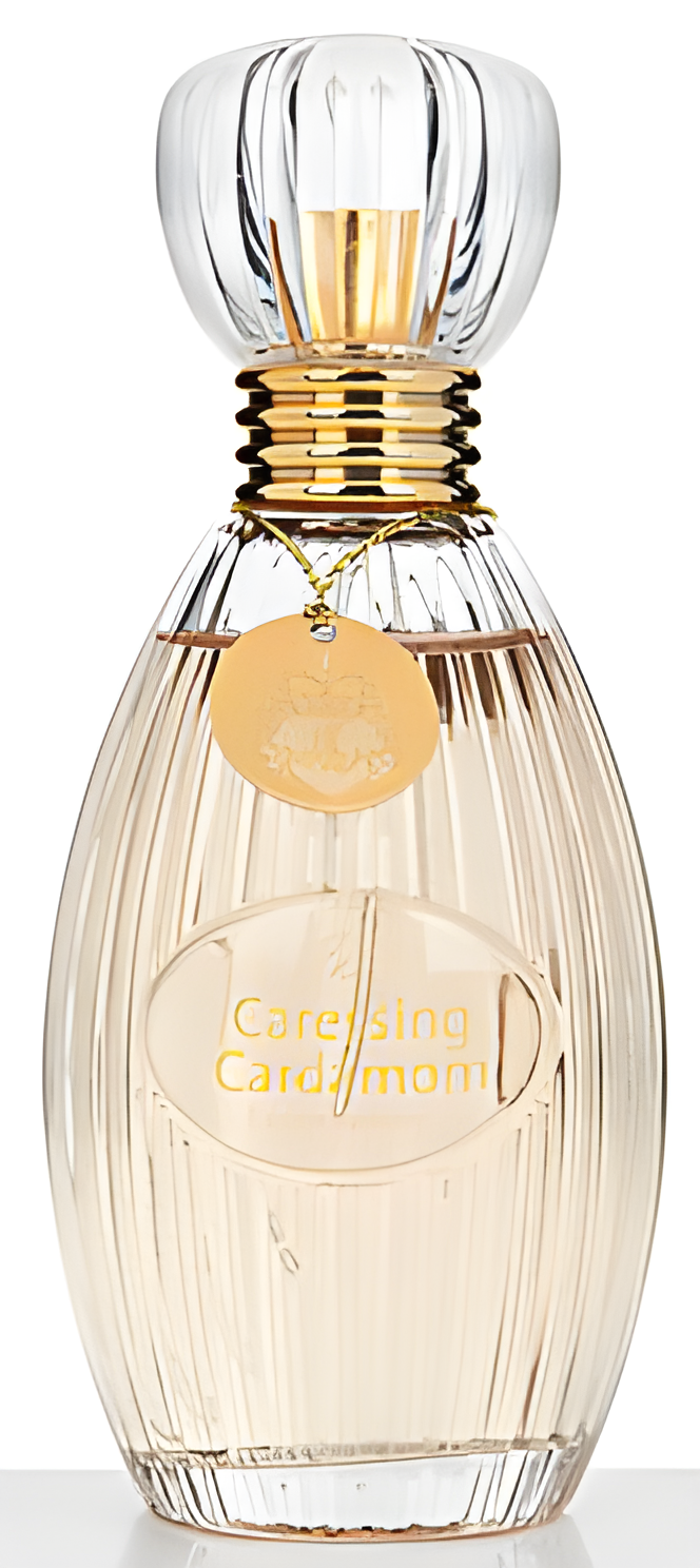Caressing Cardamom by Judith Williams perfume bottle