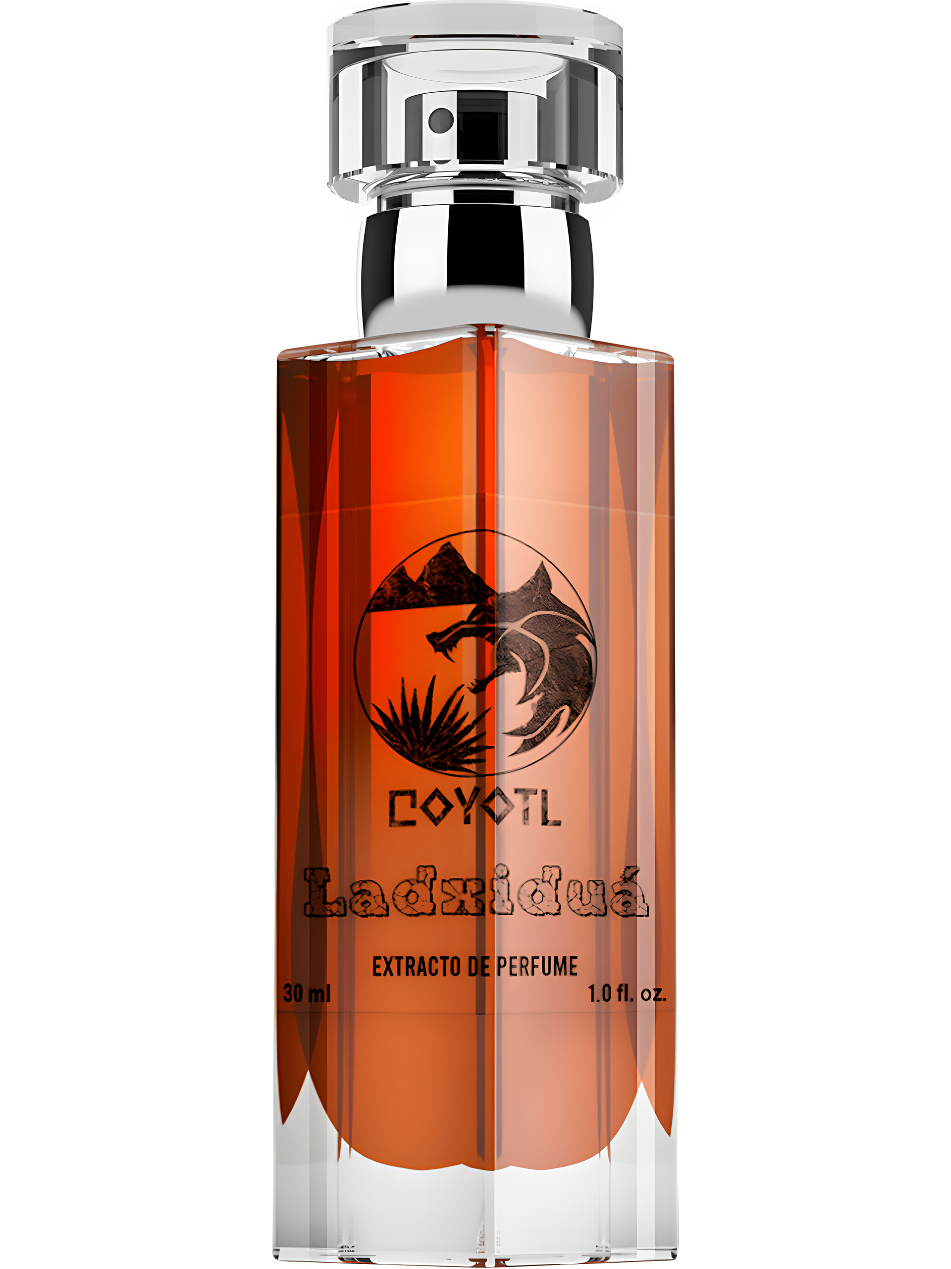Ladxiduá by Coyotl perfume bottle