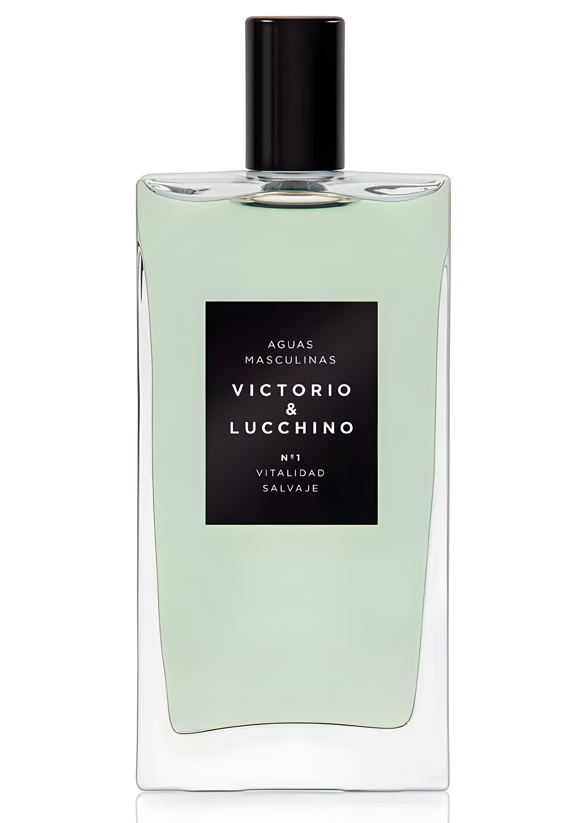 Nº 1 Vitalidad Salvaje Wild Vitality by Victorio & Lucchino perfume bottle