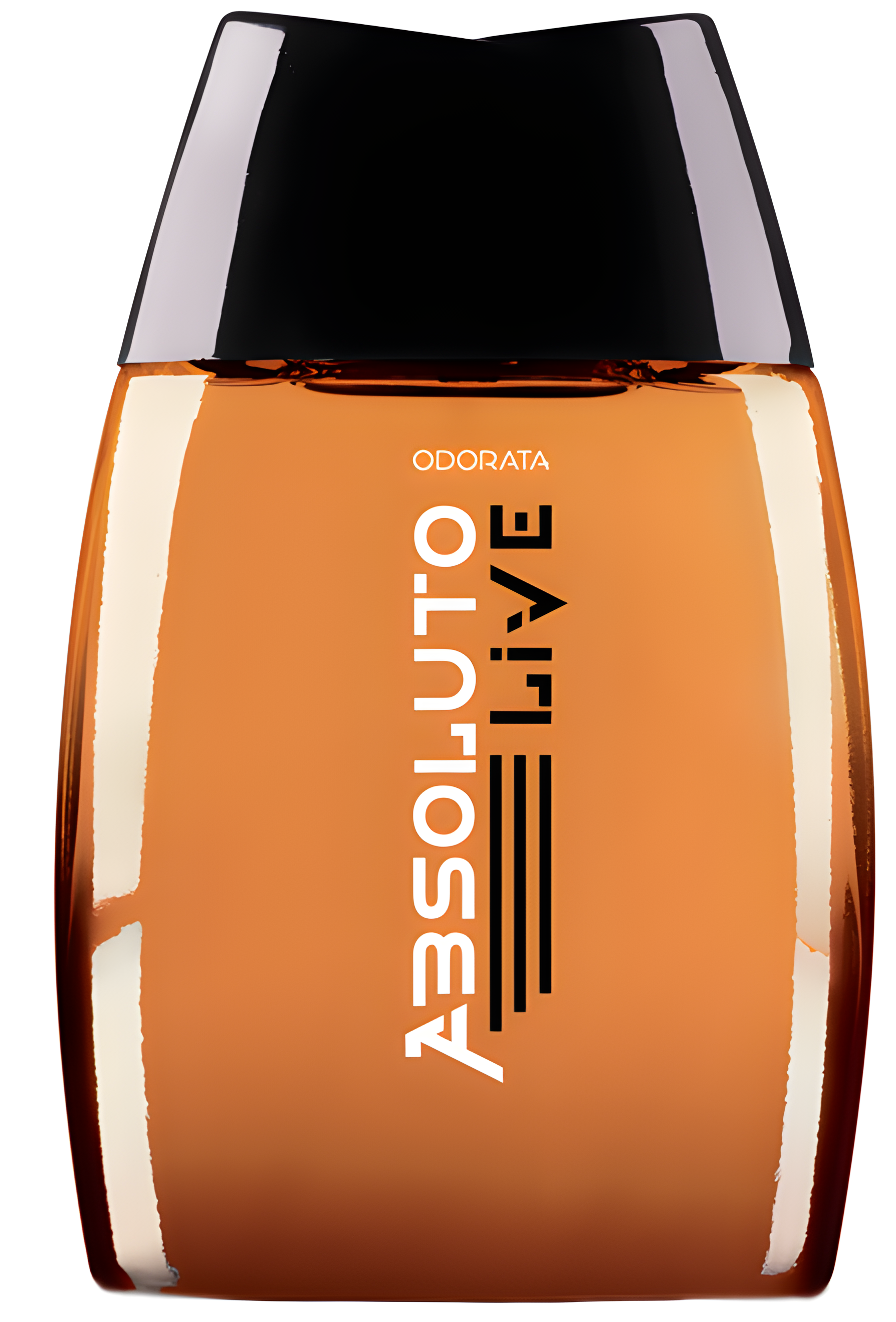 Absoluto Live by Odorata perfume bottle
