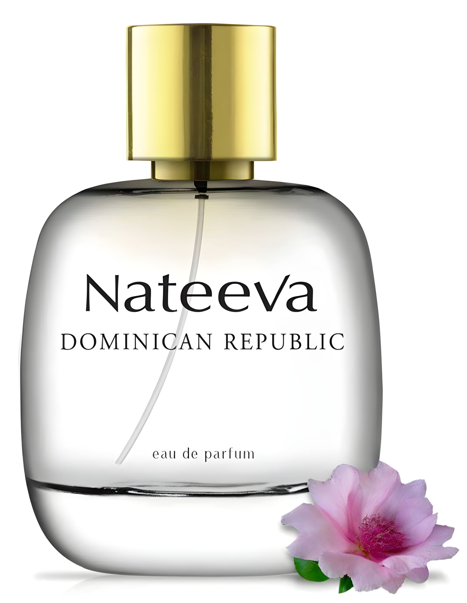 Dominican Republic by Nateeva perfume bottle