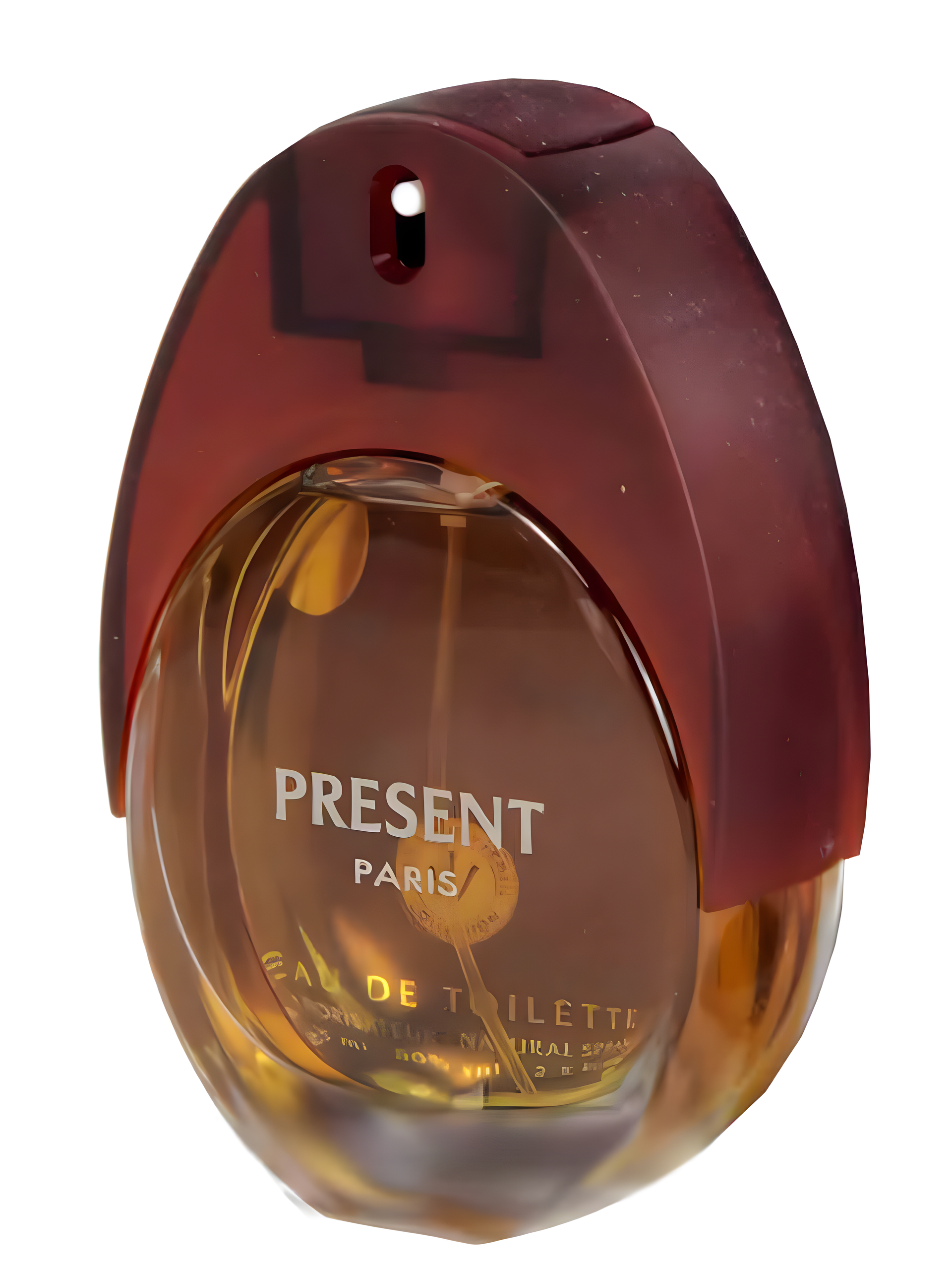 Present for Men by Jean Louis Vermeil perfume bottle