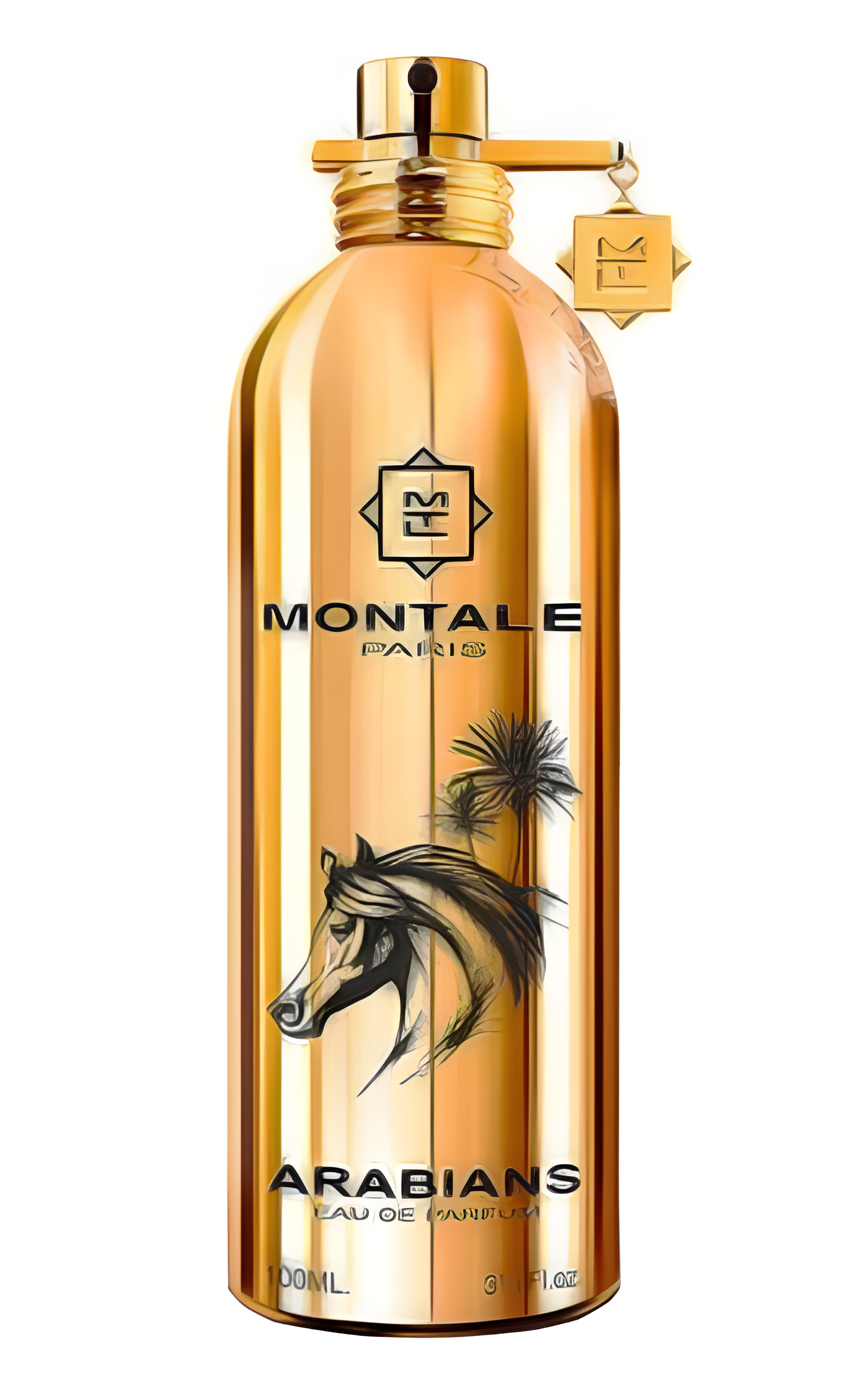Arabians by Montale perfume bottle