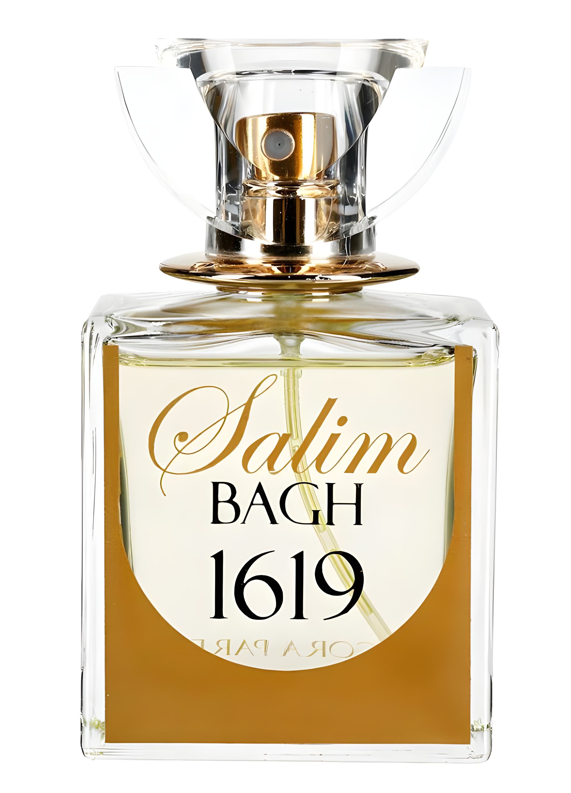 Salim Bagh 1619 by Tabacora Parfums perfume bottle