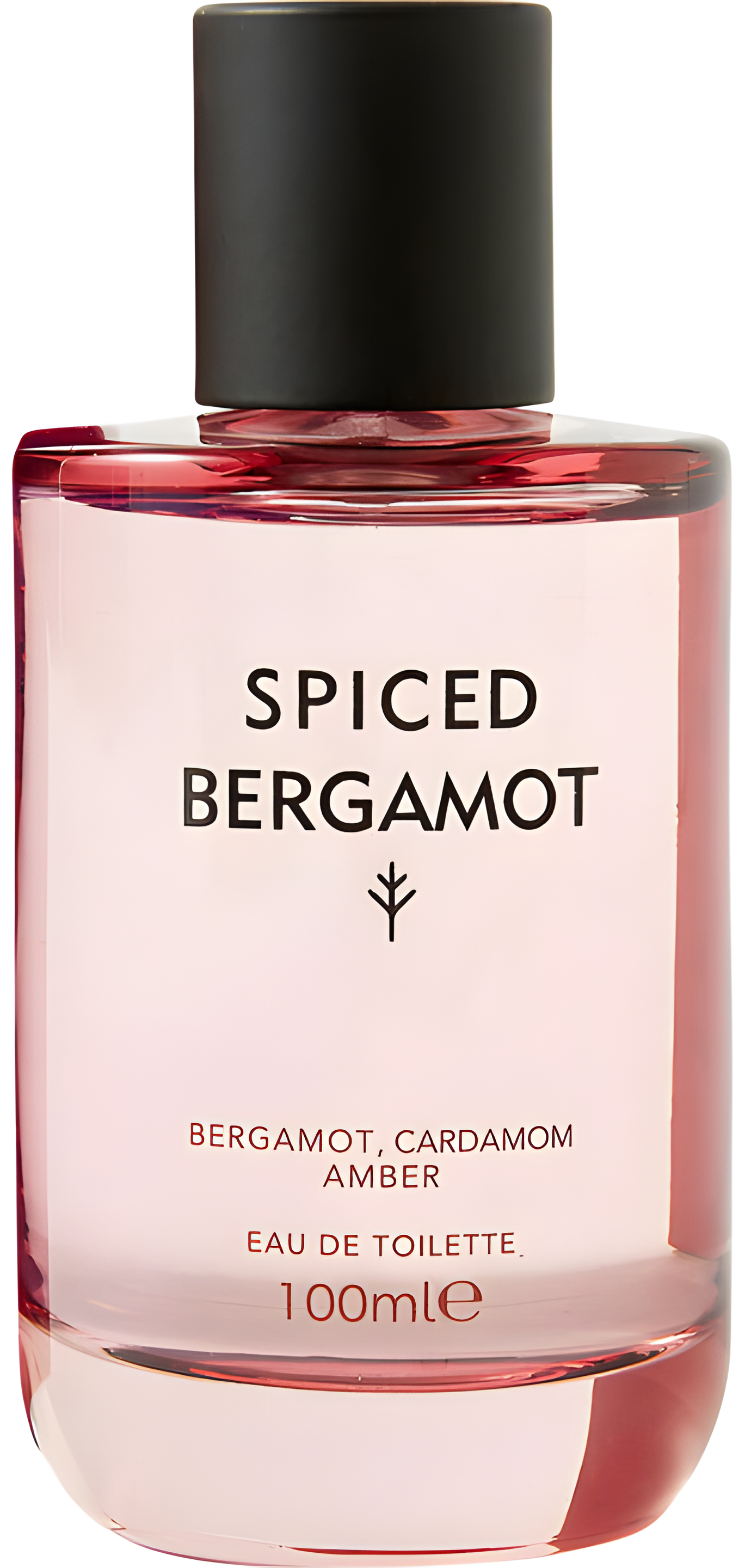 Spiced Bergamot by Marks & Spencer perfume bottle