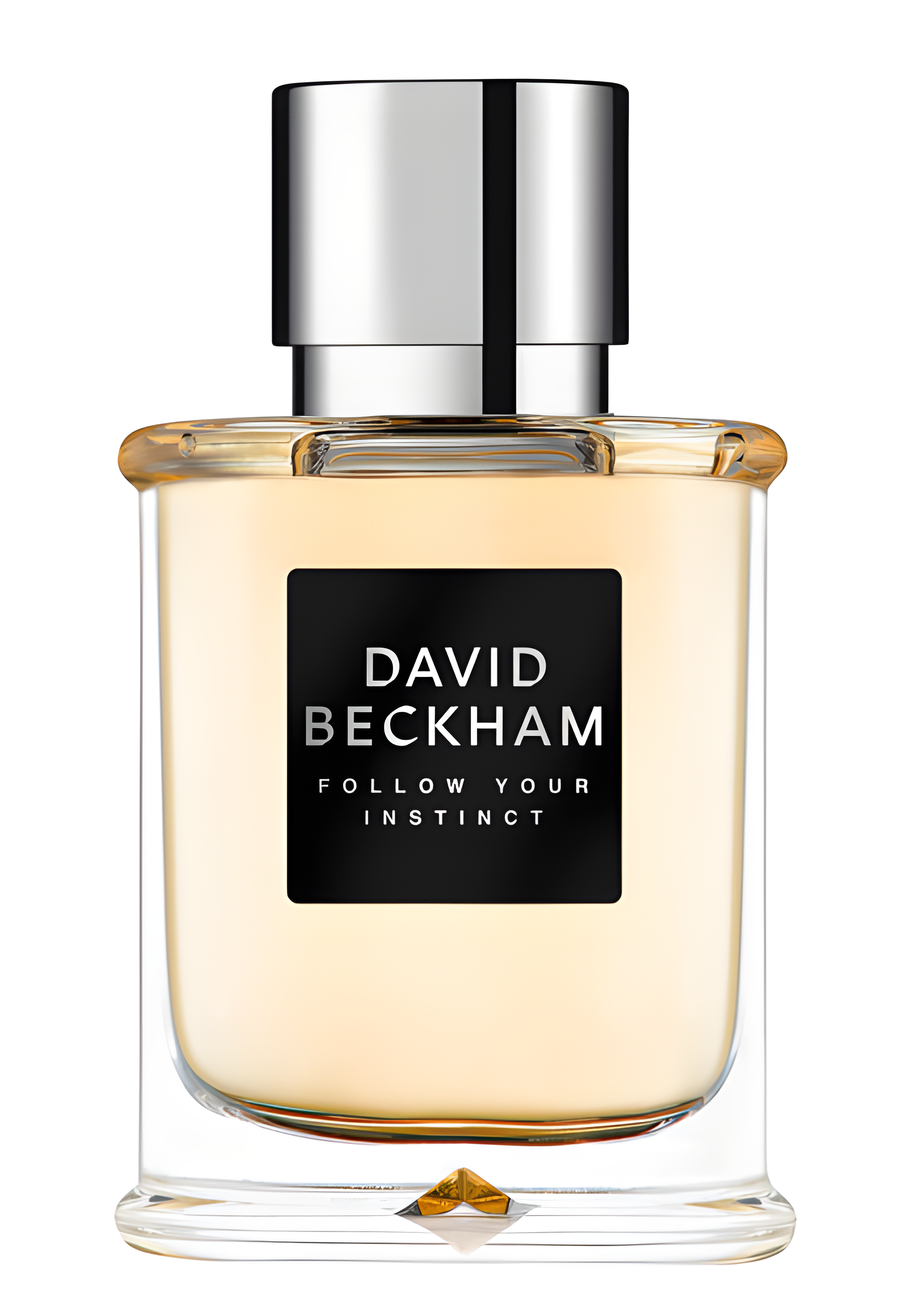 Follow Your Instinct by David Beckham perfume bottle