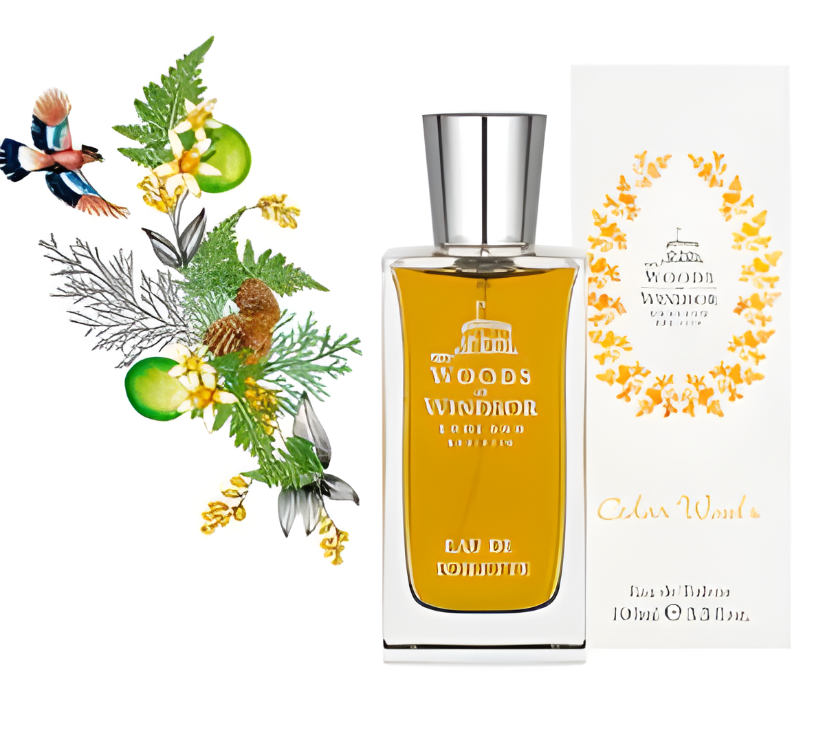 Cedar Woods by Woods of Windsor perfume bottle