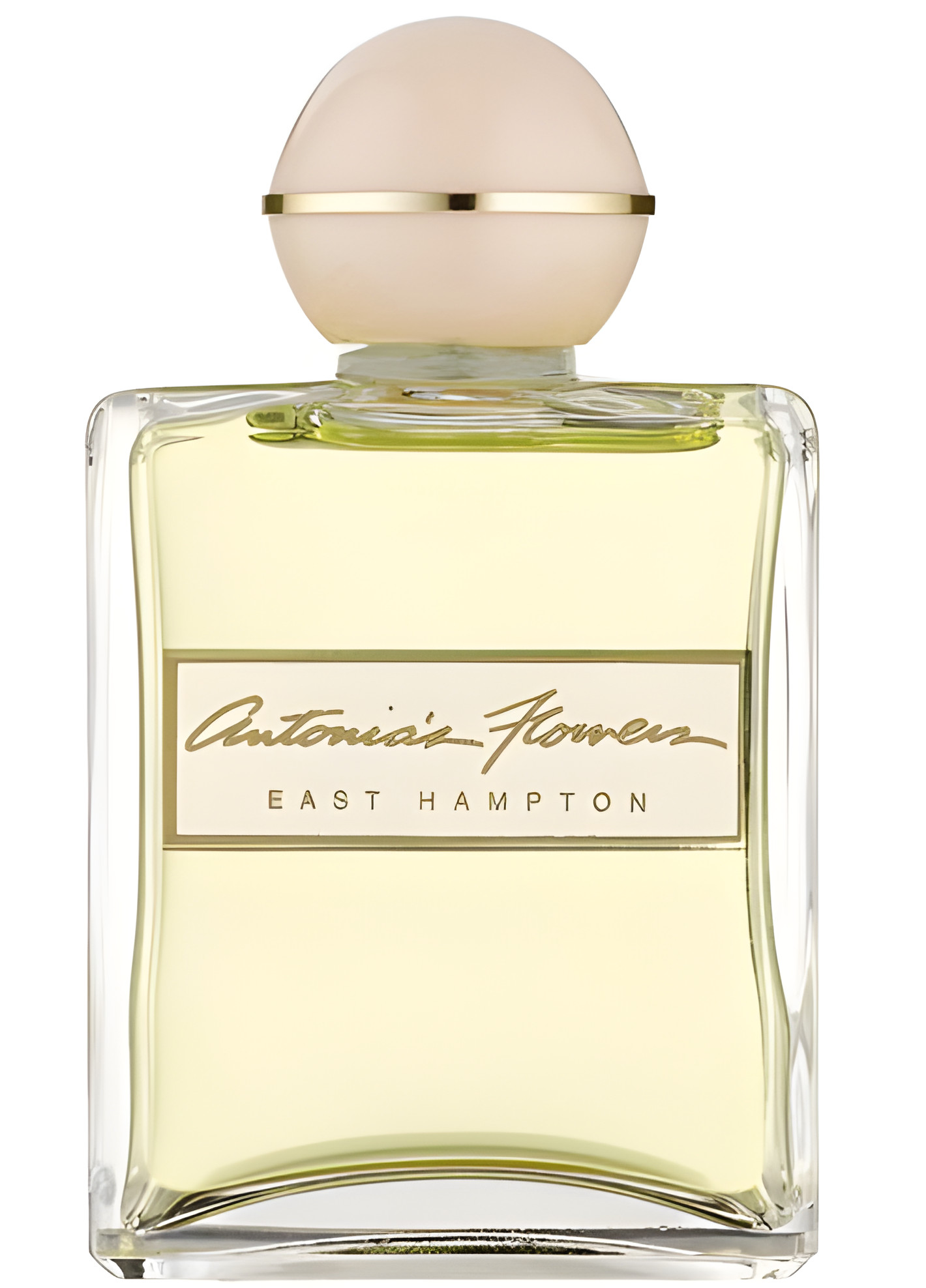 Antonia's Flowers by Antonia's Flowers perfume bottle