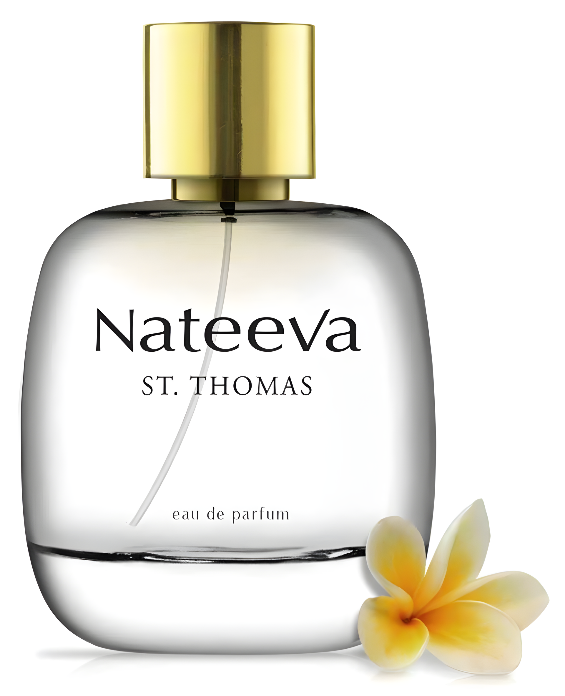 Saint Thomas by Nateeva perfume bottle
