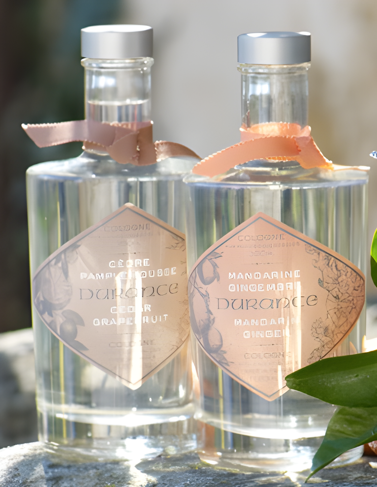 Cedar and Grapefruit by Durance en Provence perfume bottle
