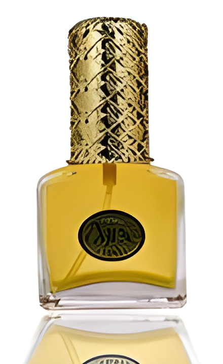 Spindrift by Ajne perfume bottle