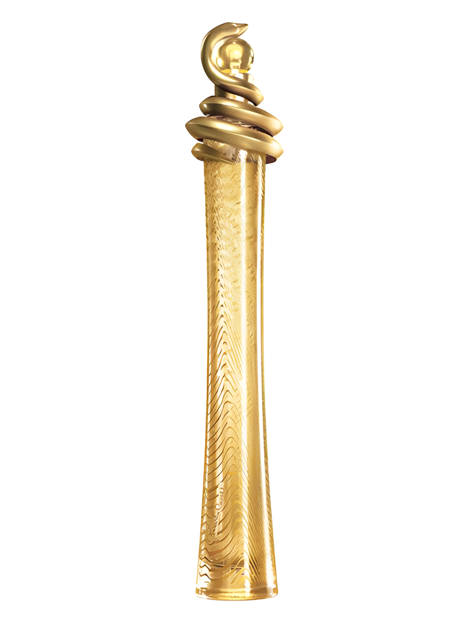Roberto Cavalli Oro by Roberto Cavalli perfume bottle