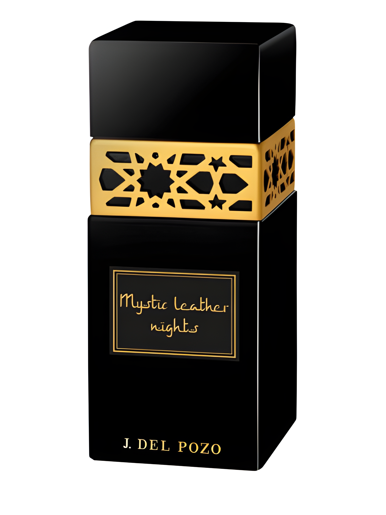 Mystic Leather Nights by Jesus Del Pozo perfume bottle
