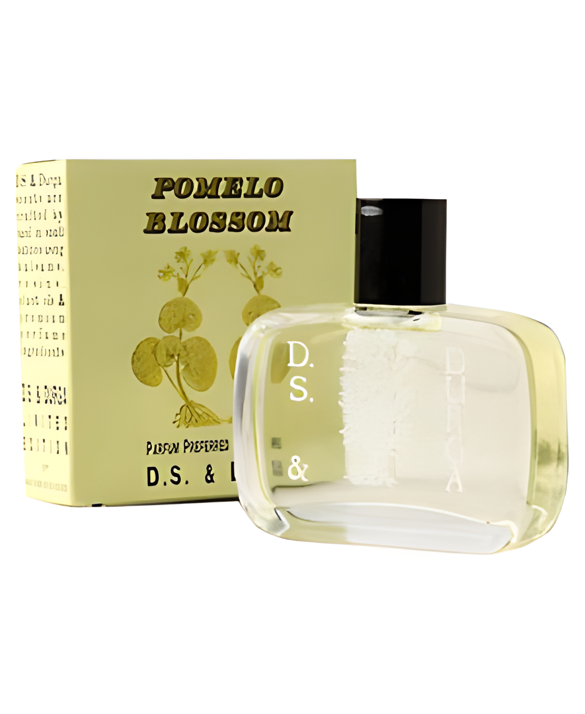 Pomelo Blossom by DS&Durga perfume bottle