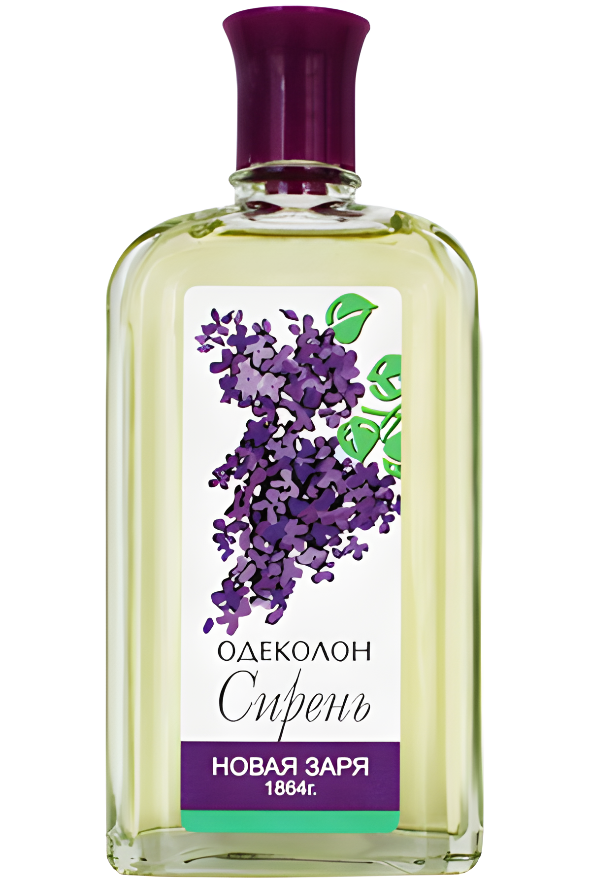 Новая Заря (The New Dawn) Сирень (Lilac)