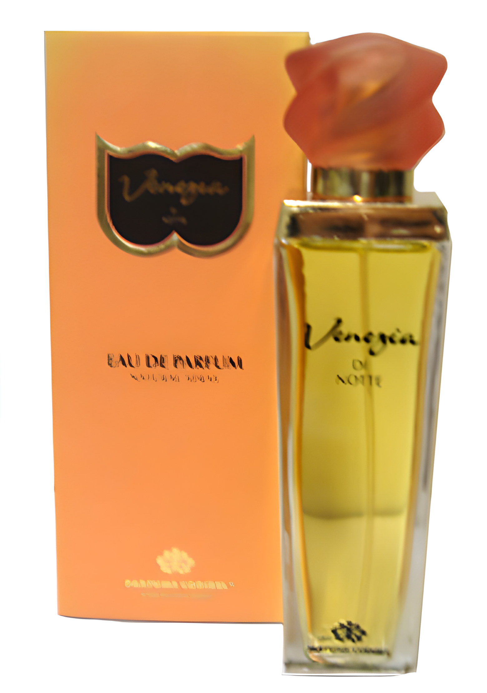 Venezia Di Notte by Parfums Codibel perfume bottle