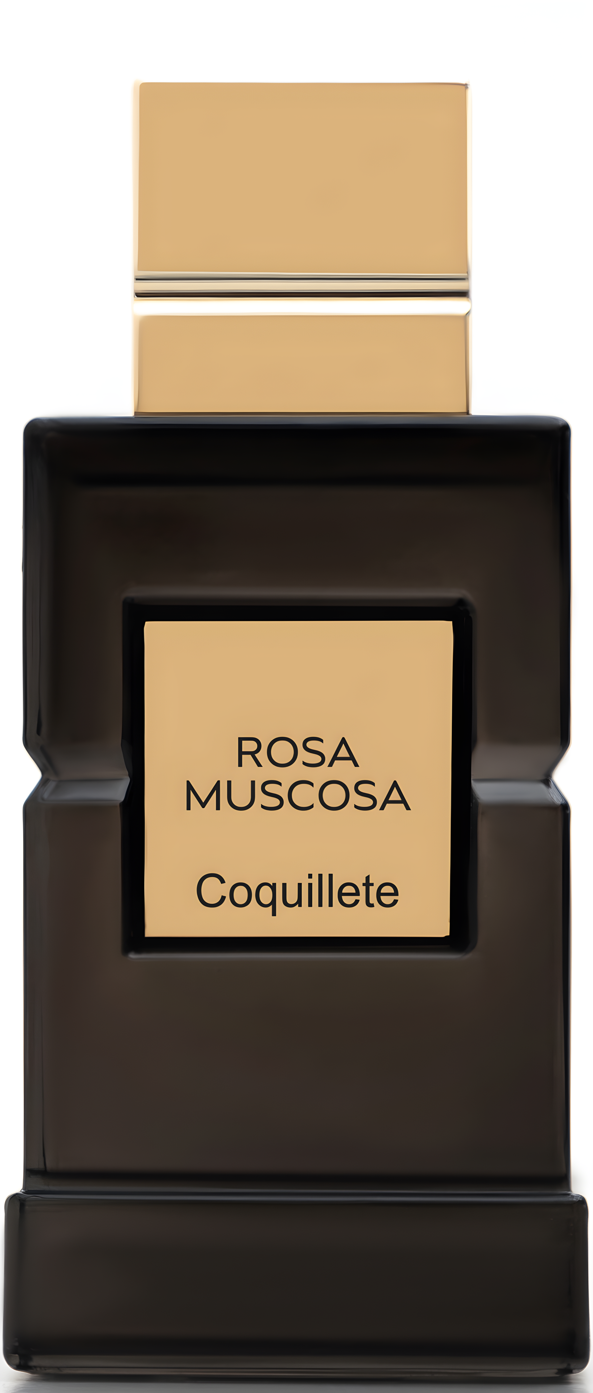 Rosa Muscosa by Coquillete perfume bottle