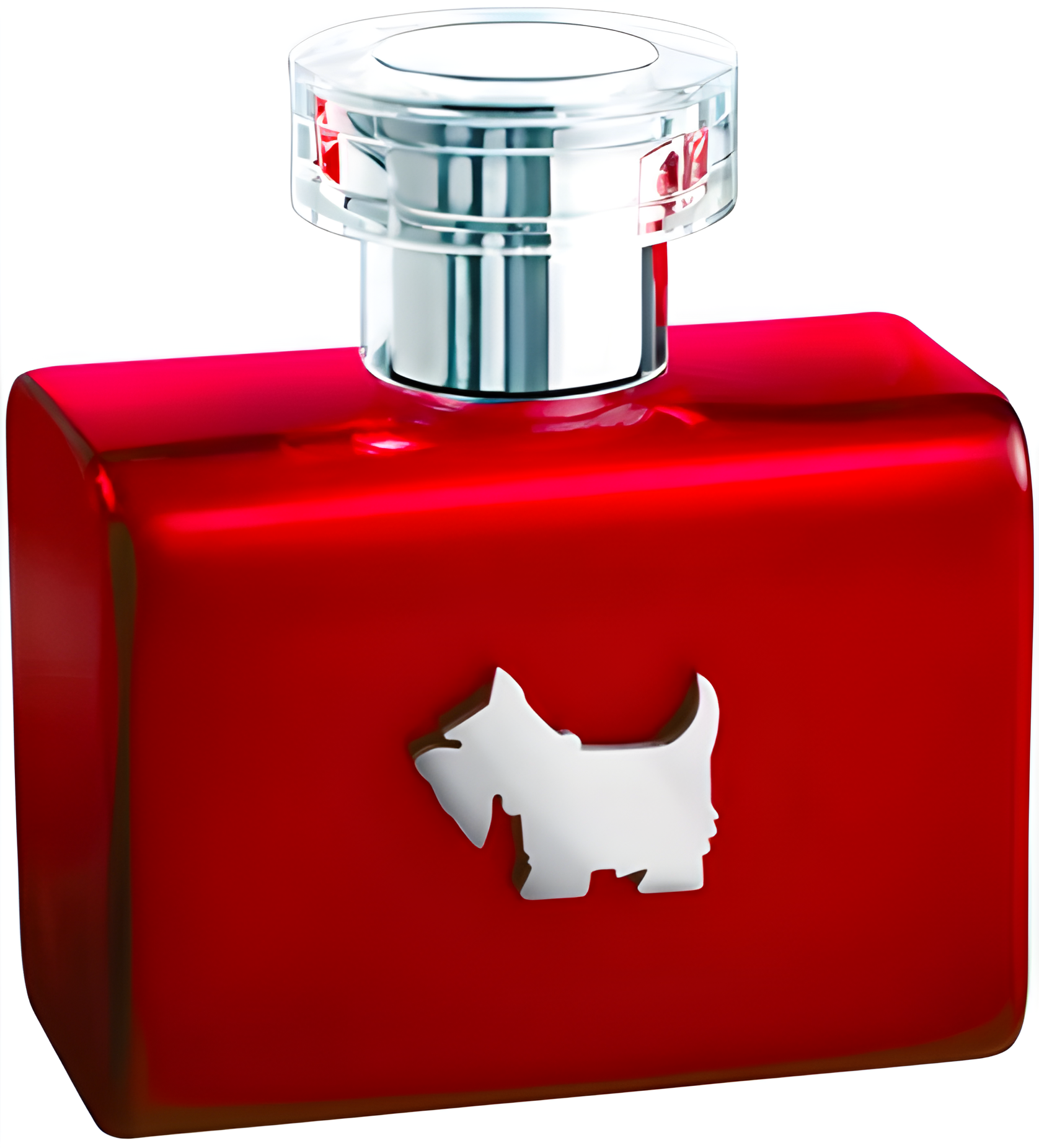 Terrier Red by Ferrioni perfume bottle
