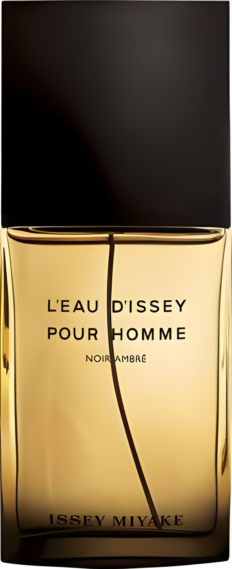 L'Eau d'Issey Pour Homme Noir Ambre by Issey Miyake perfume bottle