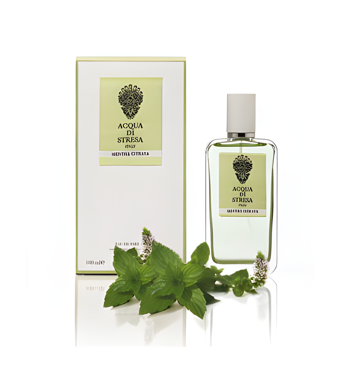 Mentha Citrata by Acqua di Stresa perfume bottle