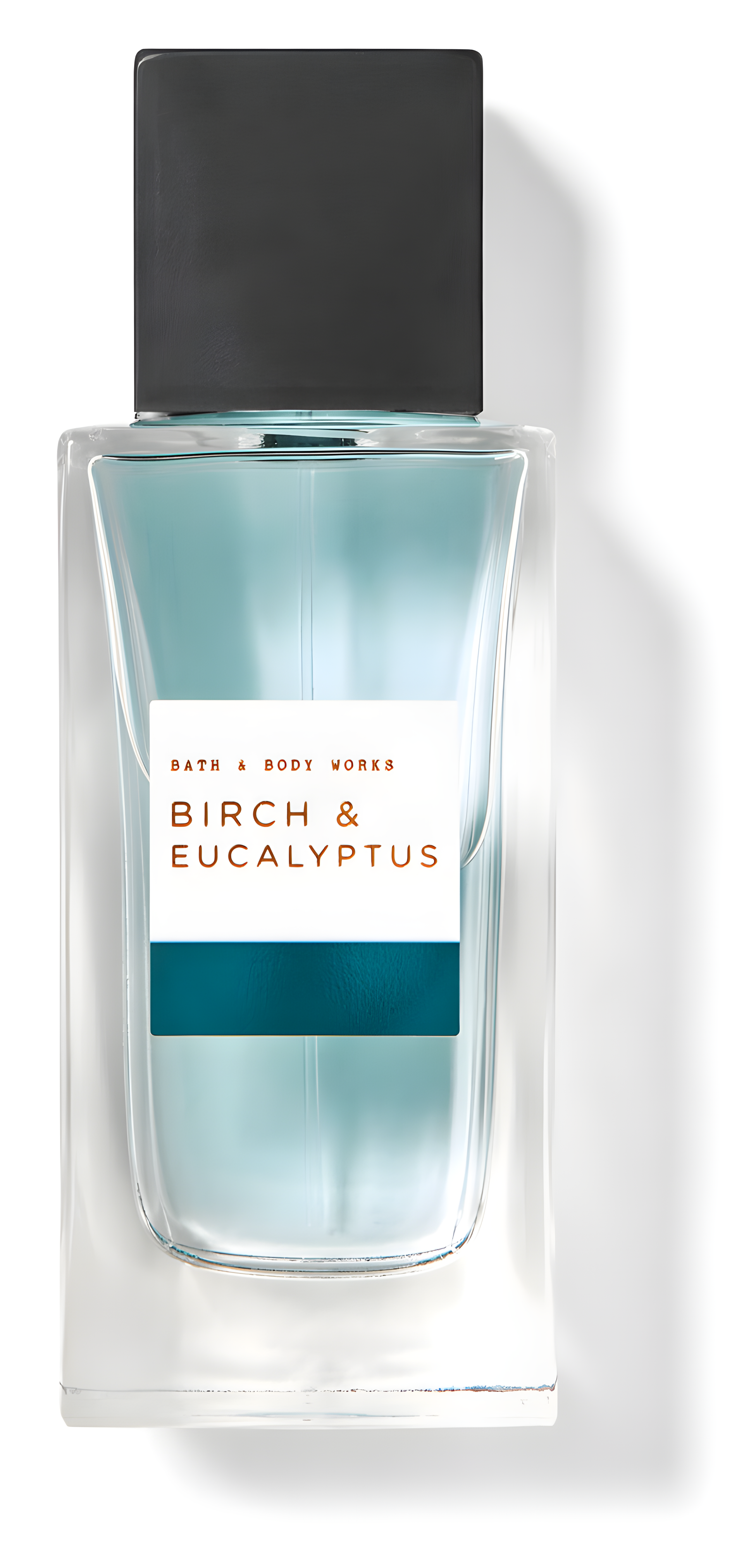 Birch & Eucalyptus by Bath & Body Works perfume bottle