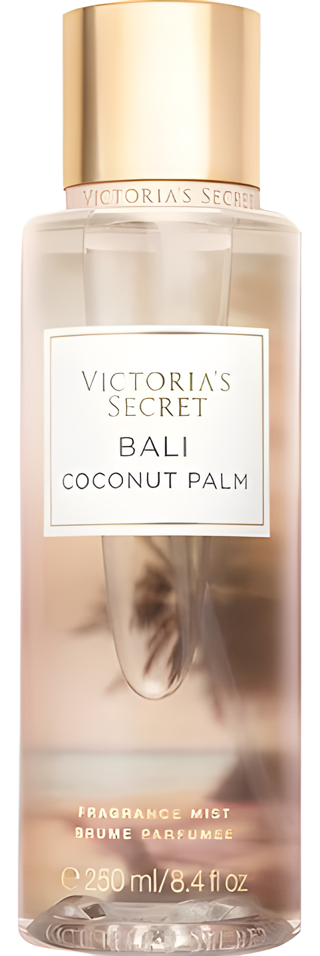 Bali Coconut Palm by Victoria's Secret perfume bottle