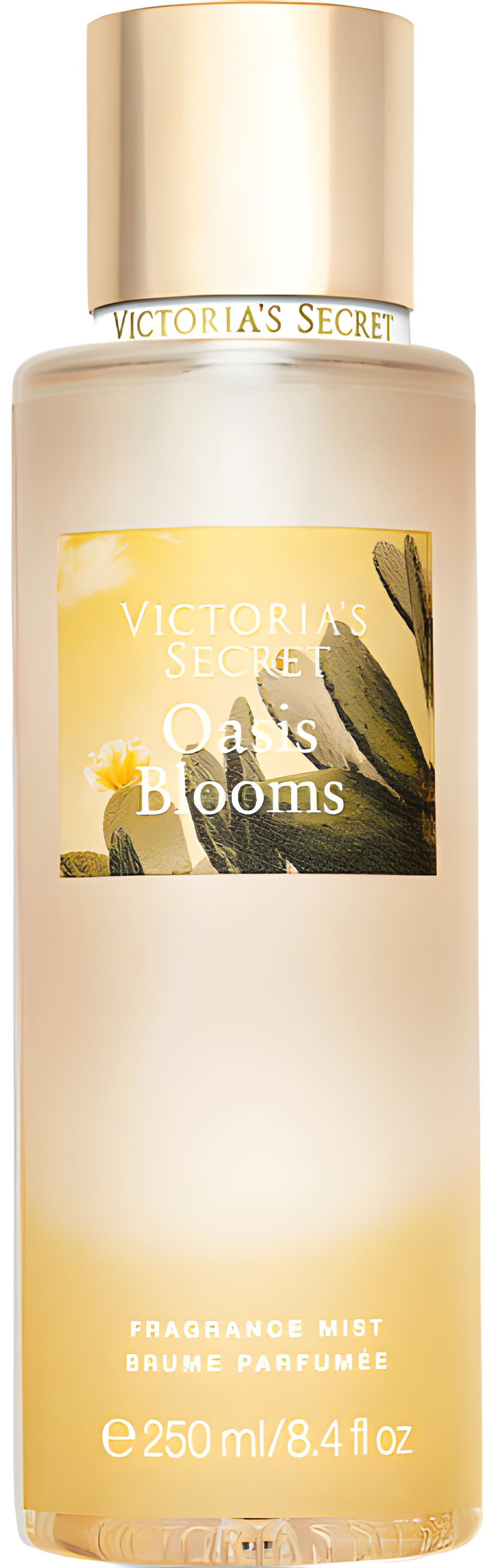 Oasis Blooms by Victoria's Secret perfume bottle