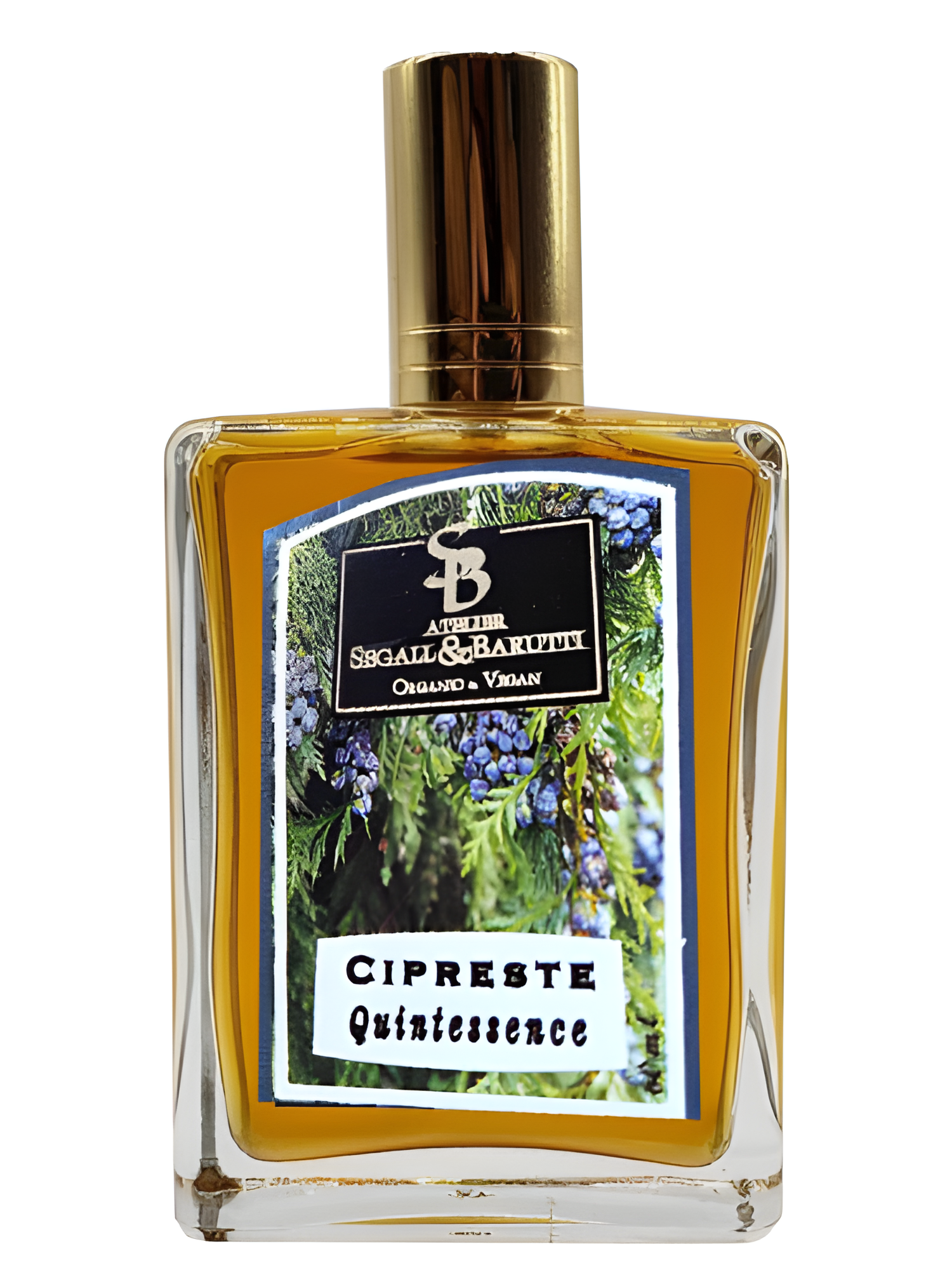 Cipreste Quintessence by Atelier Segall & Barutti perfume bottle