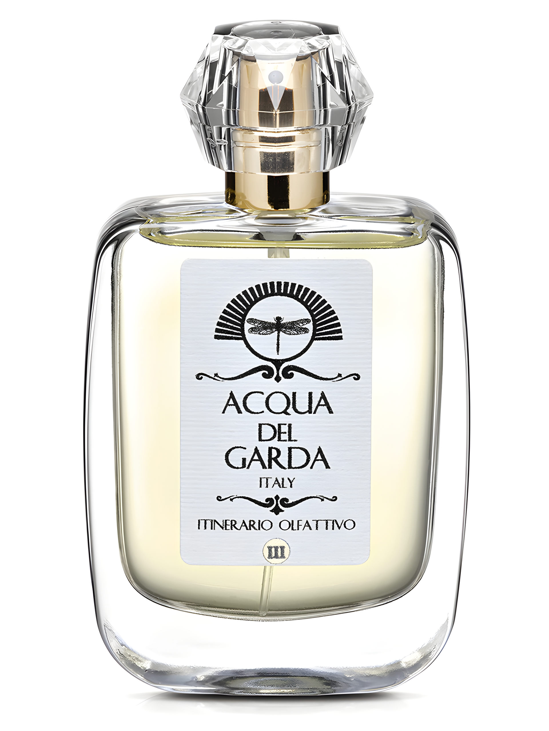 Itinerario III by Acqua del Garda perfume bottle