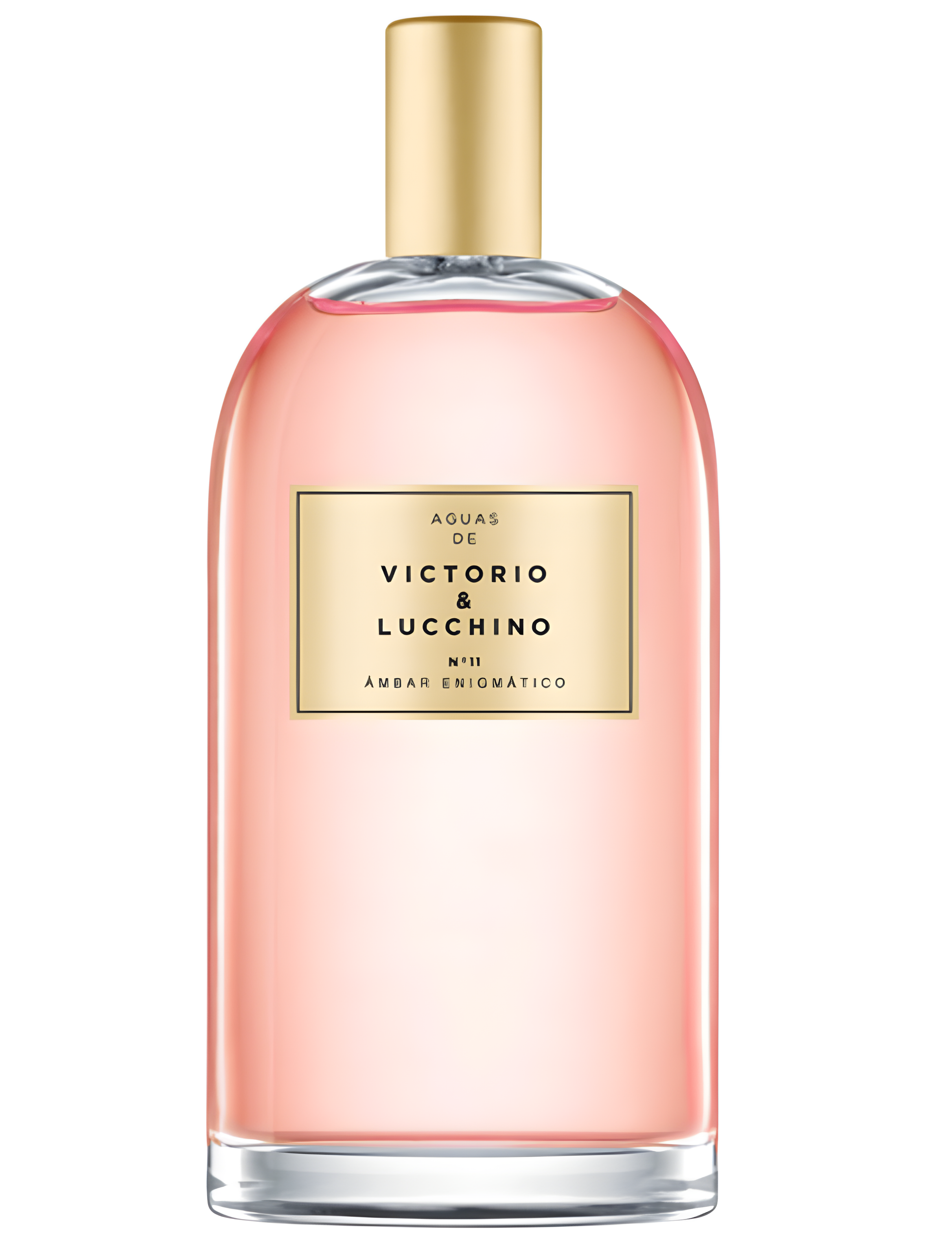 Nº 11 Ambar Enigmatic Enigmatic Amber by Victorio & Lucchino