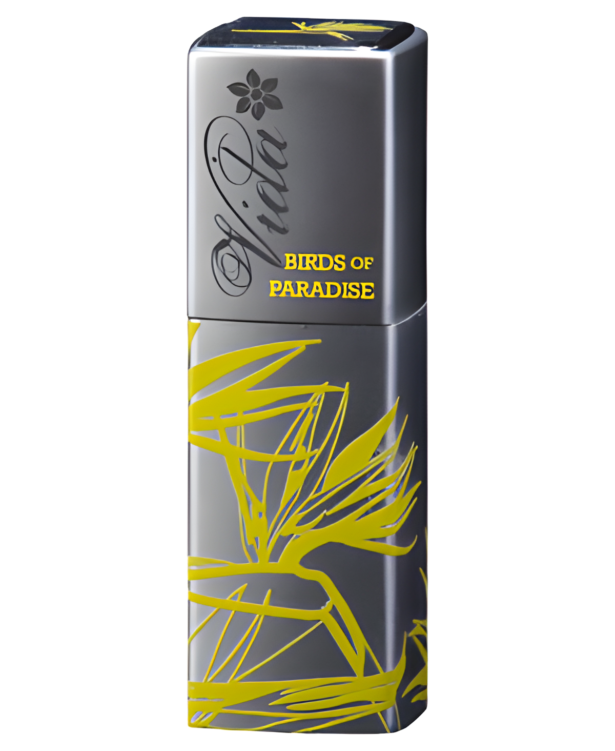 Vida Birds of Paradise by Tru Fragrances perfume bottle